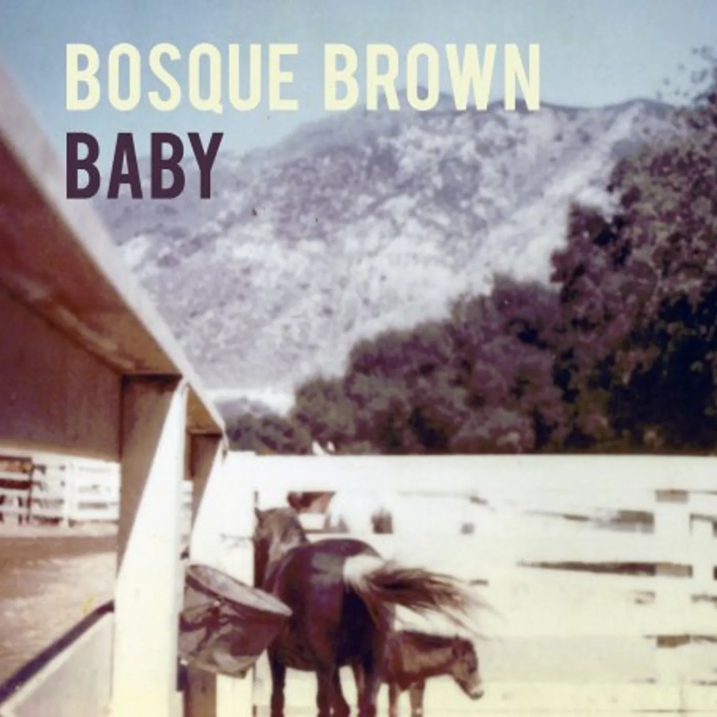 Bosque Brown Baby Vinyl Record