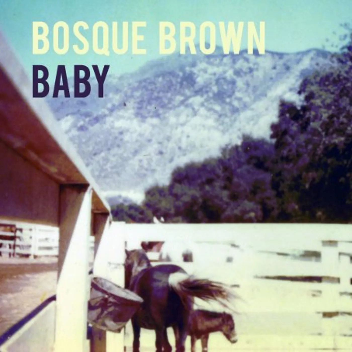 Bosque Brown BABY CD