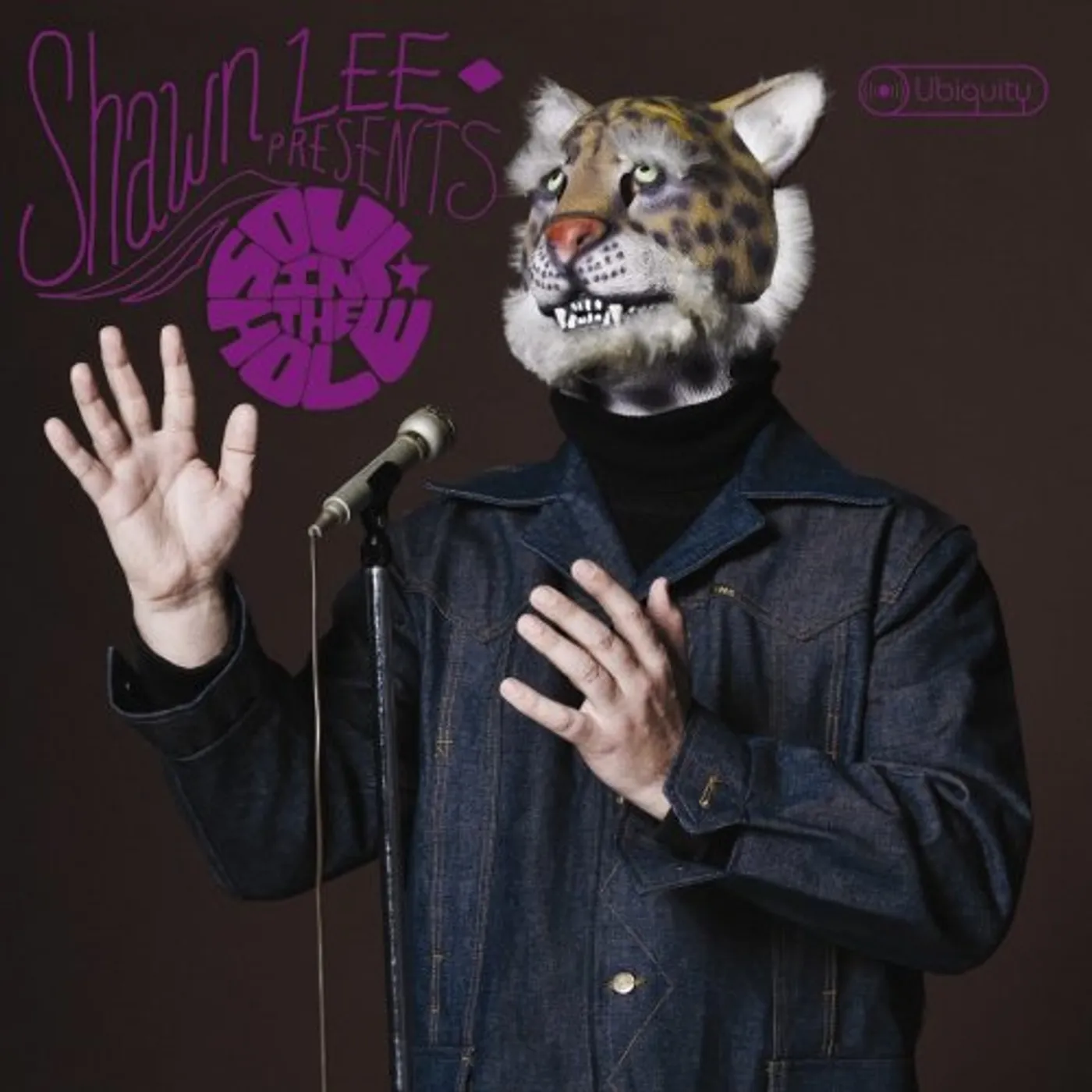 SHAWN LEE PRESENTS: SOUL IN THE HOLE Vinyl Record