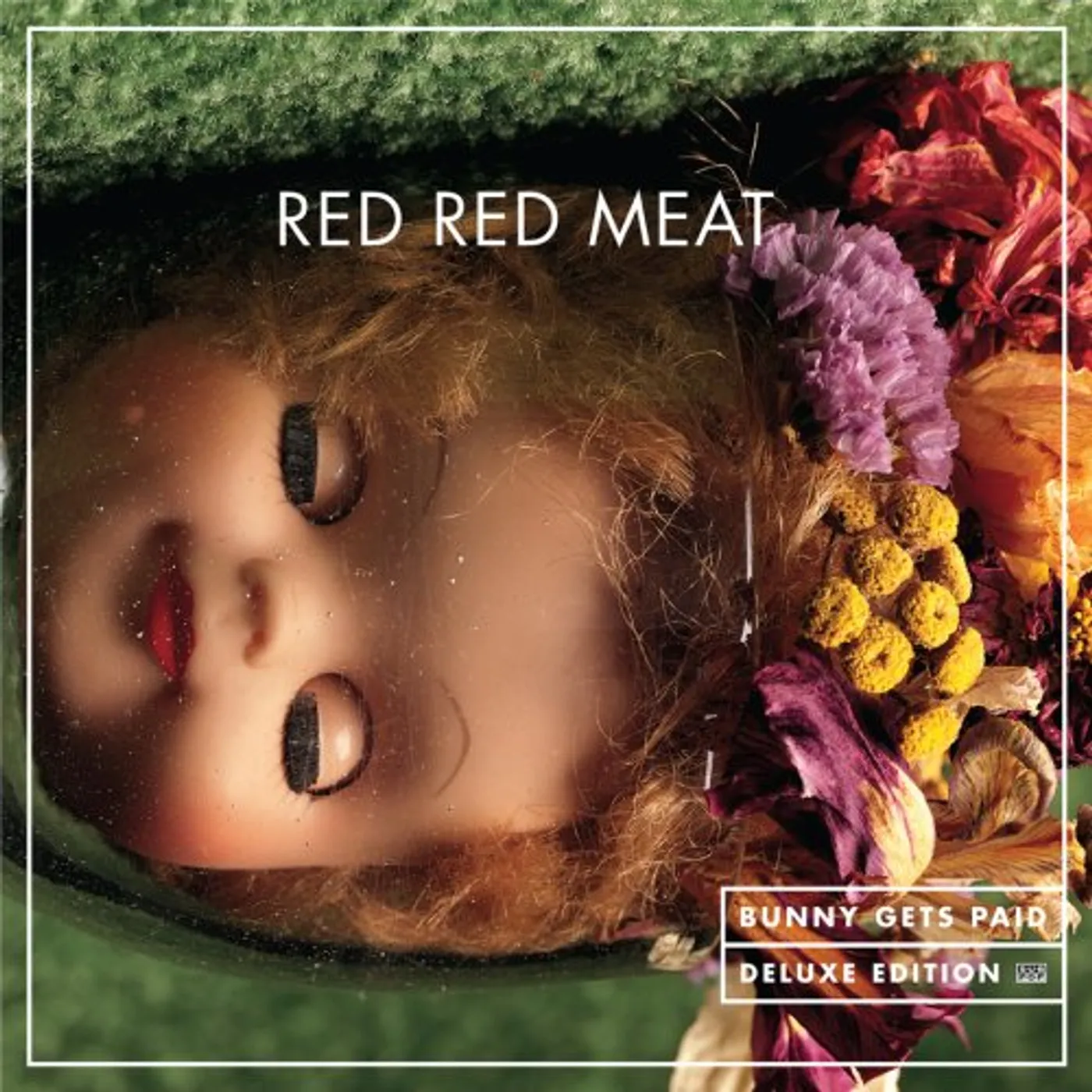 Red Red Meat BUNNY GETS PAID CD