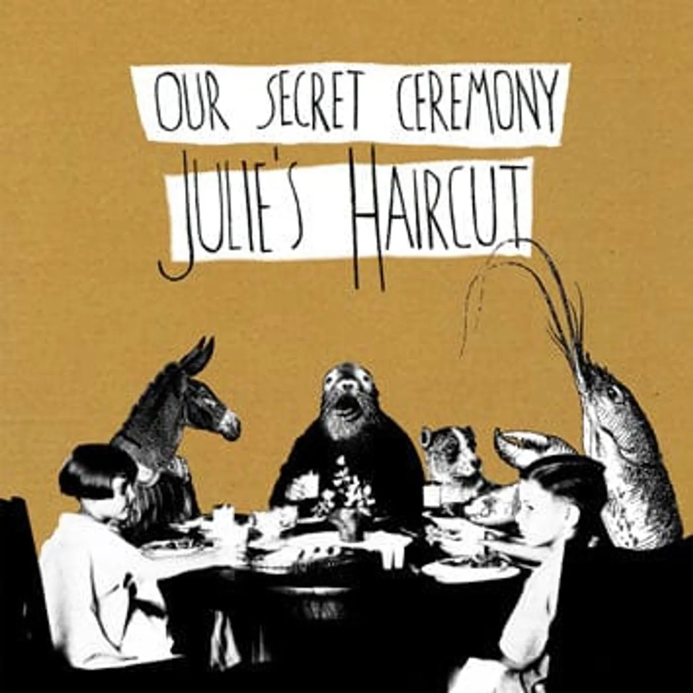 Julie's Haircut OUR SECRET CEREMONY Vinyl Record