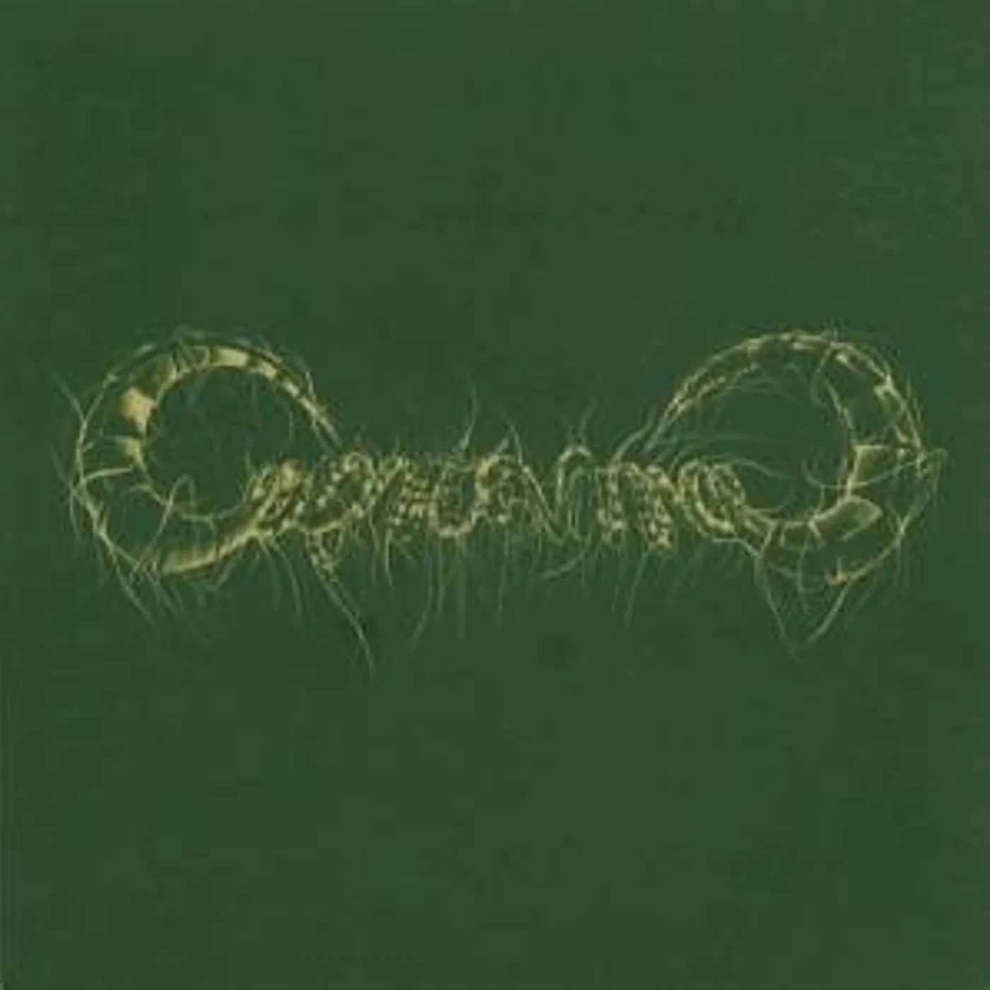 Capricorns Vinyl Record