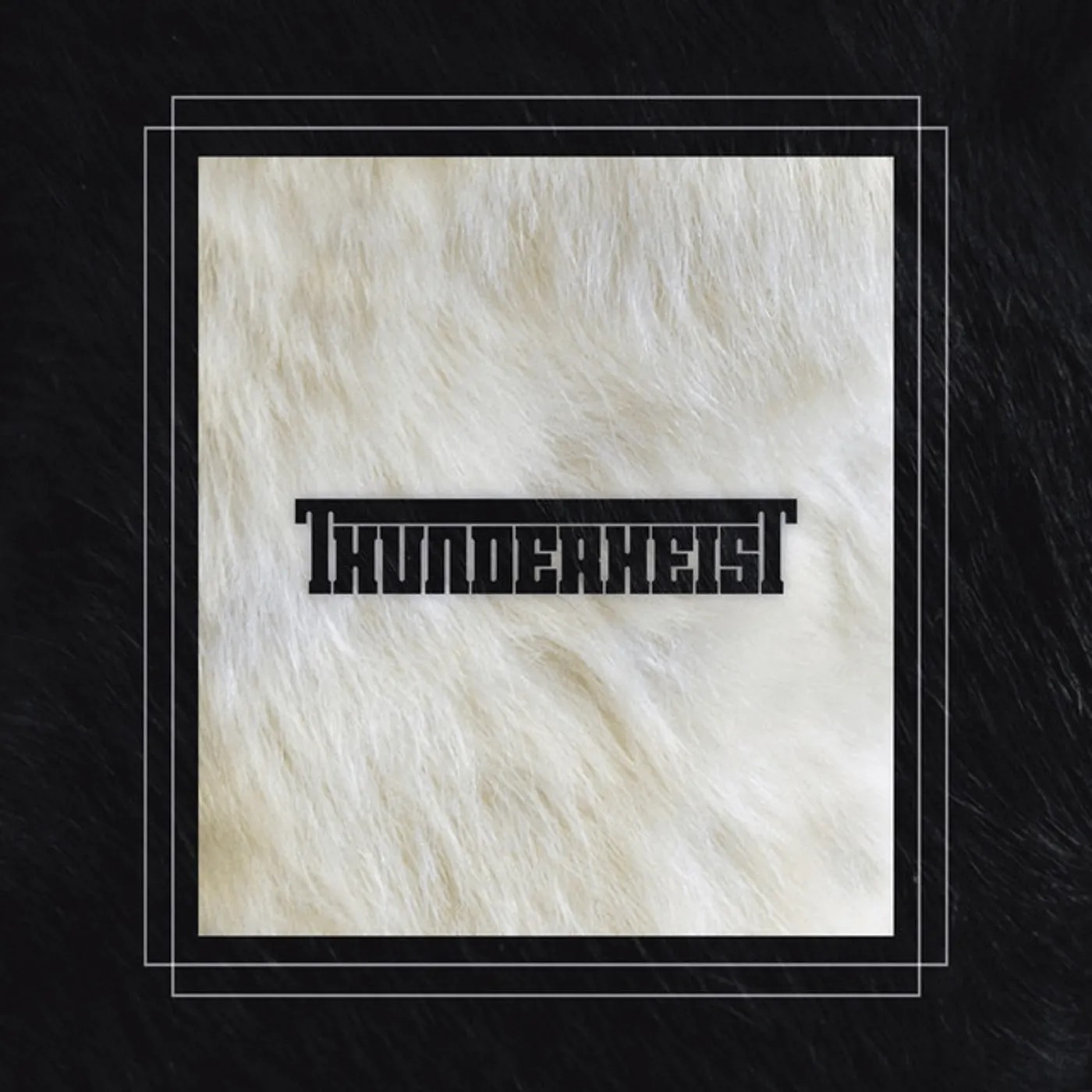 Thunderheist Vinyl Record