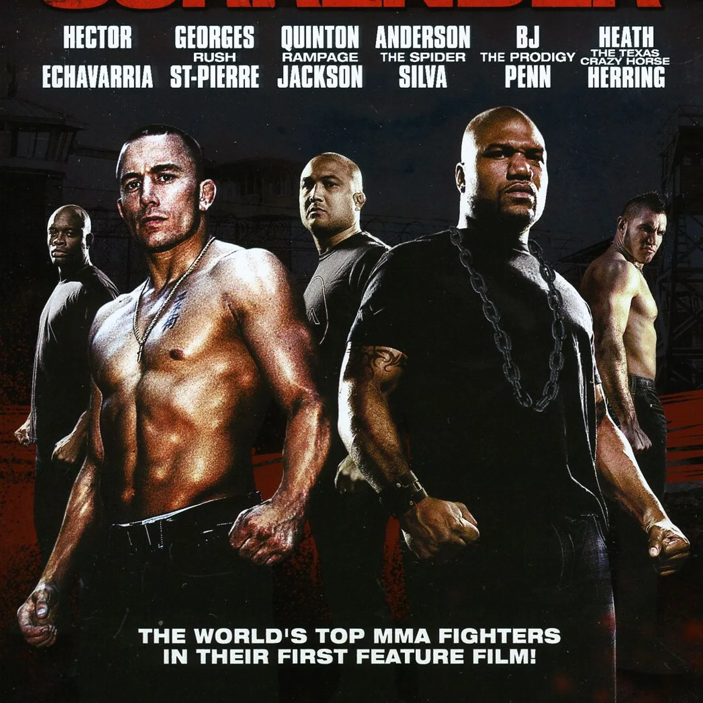 NEVER SURRENDER DVD