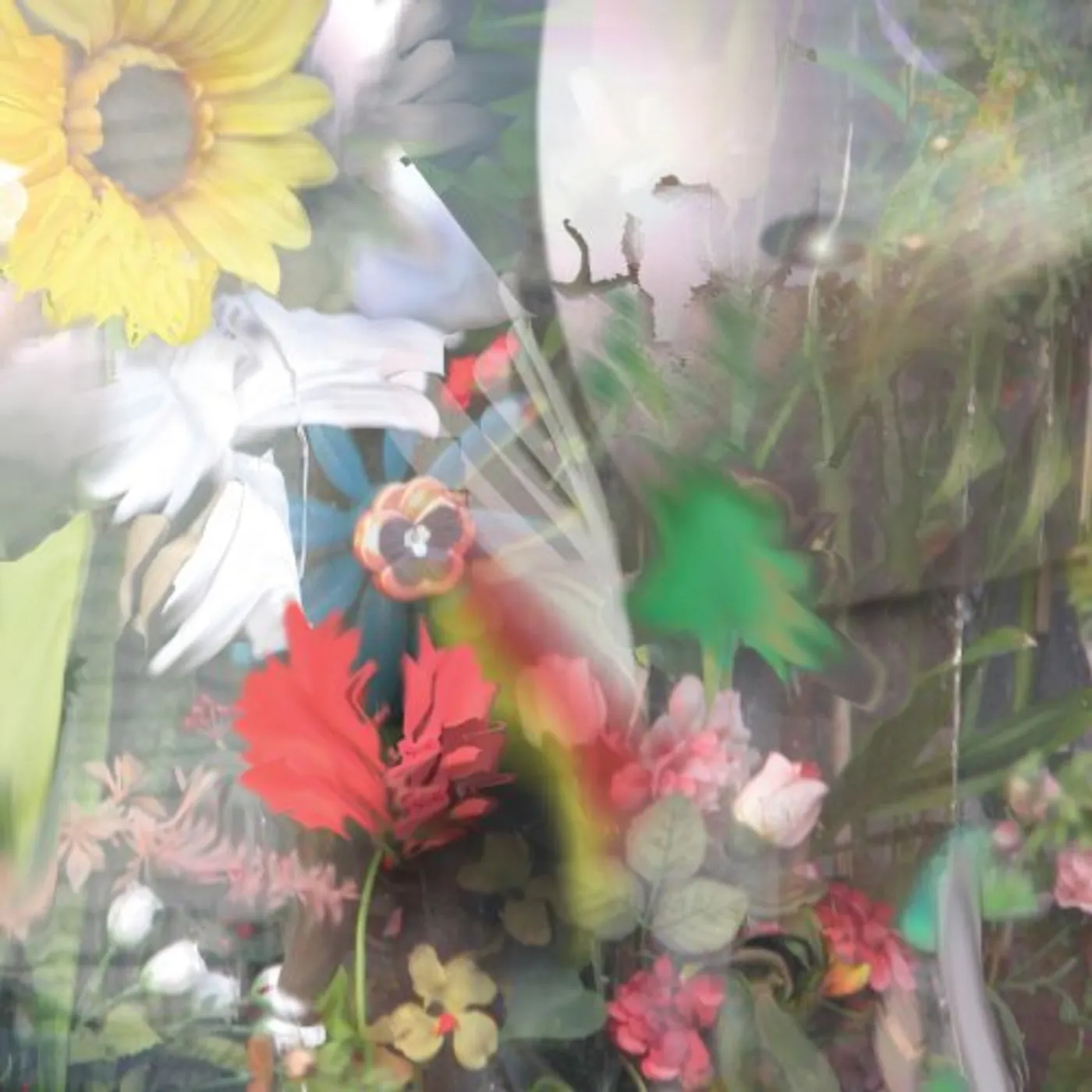 Joan Of Arc FLOWERS CD