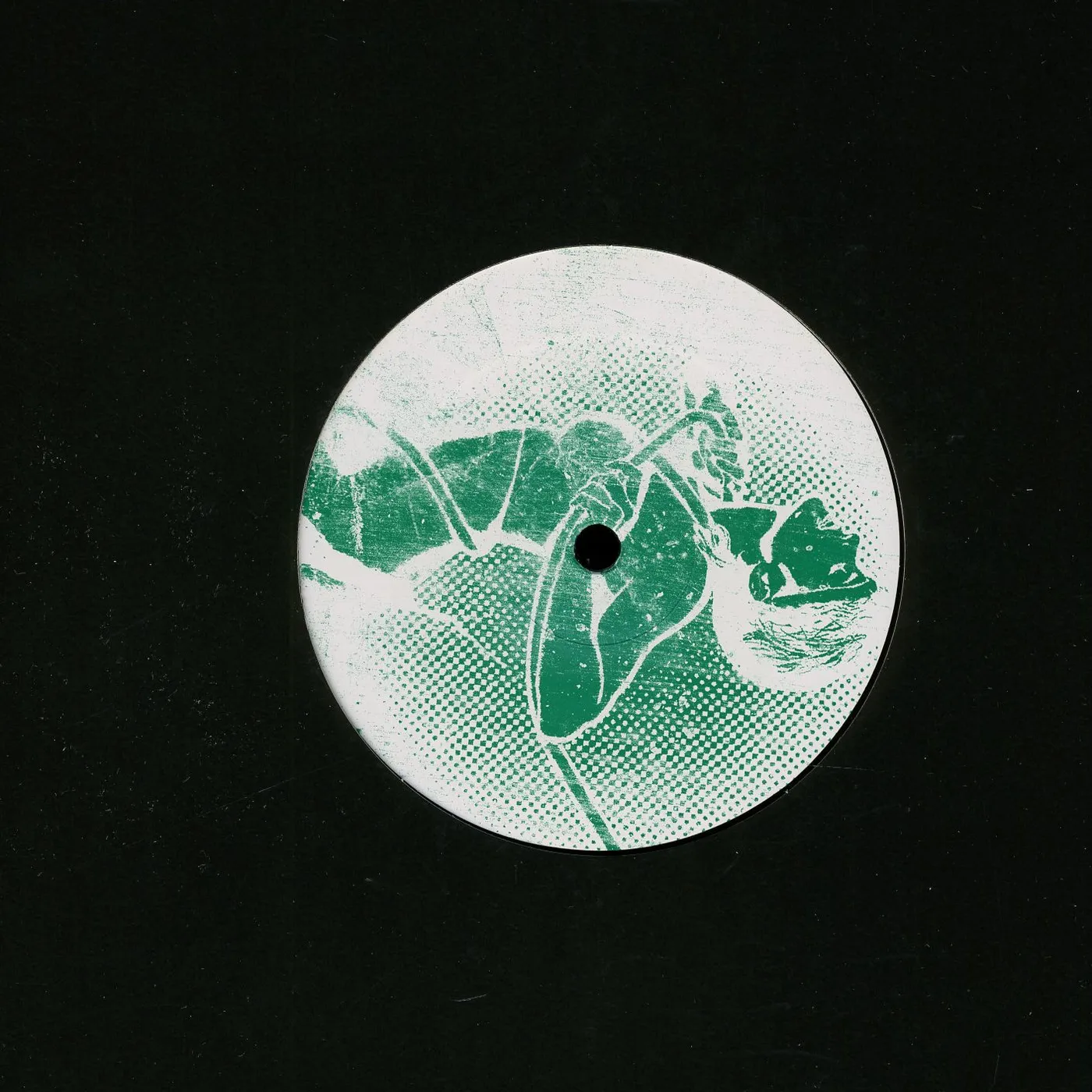 Audiofly X Mar Del Plata Vinyl Record