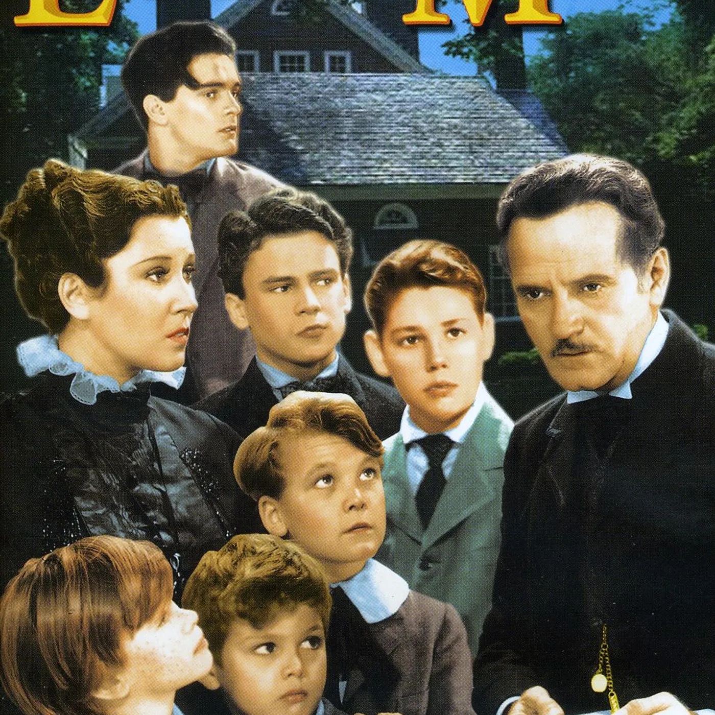 The Little Men DVD