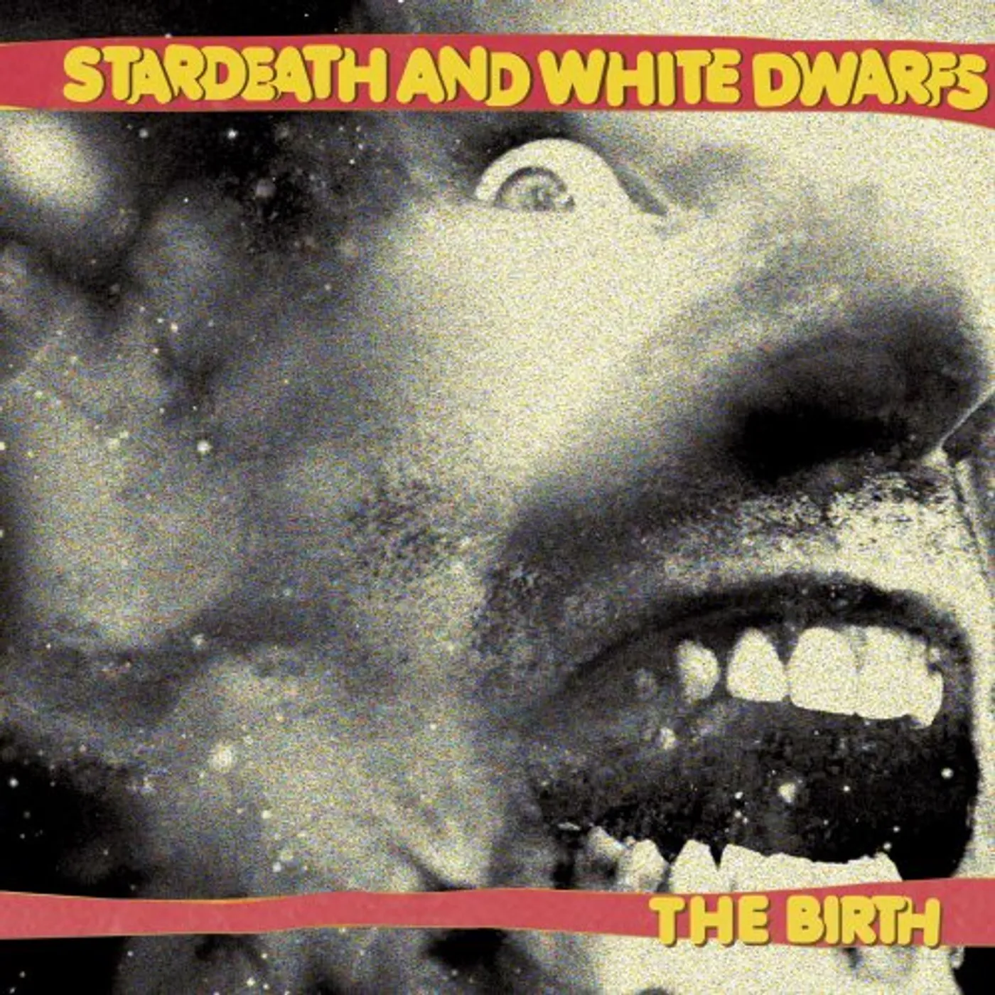 Stardeath And White Dwarfs BIRTH Vinyl Record