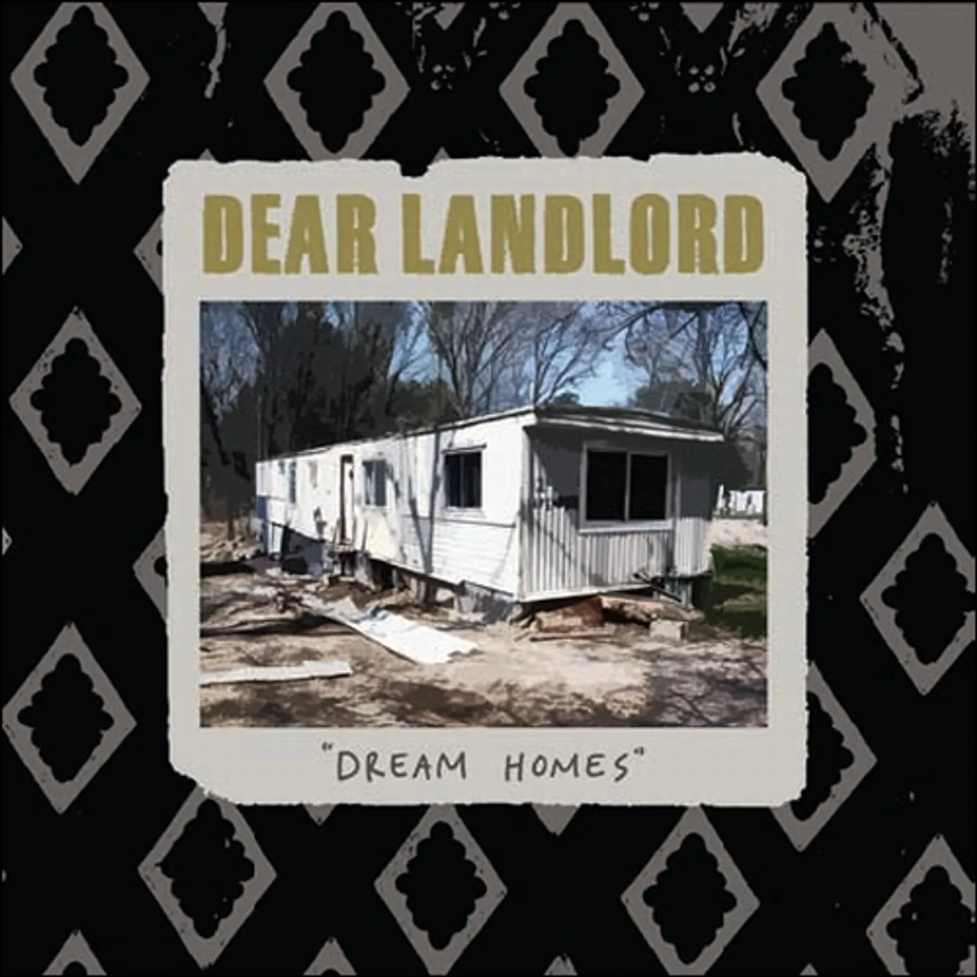 Dear Landlord Dream Homes Vinyl Record