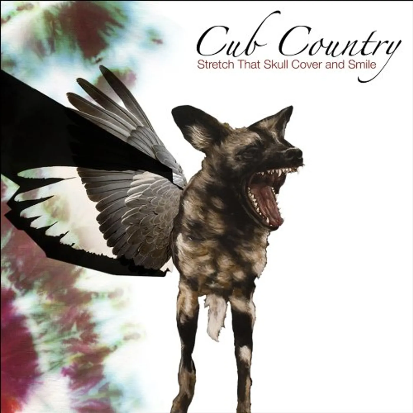 Cub Country Stretch That Skull Cover and Smile Vinyl Record