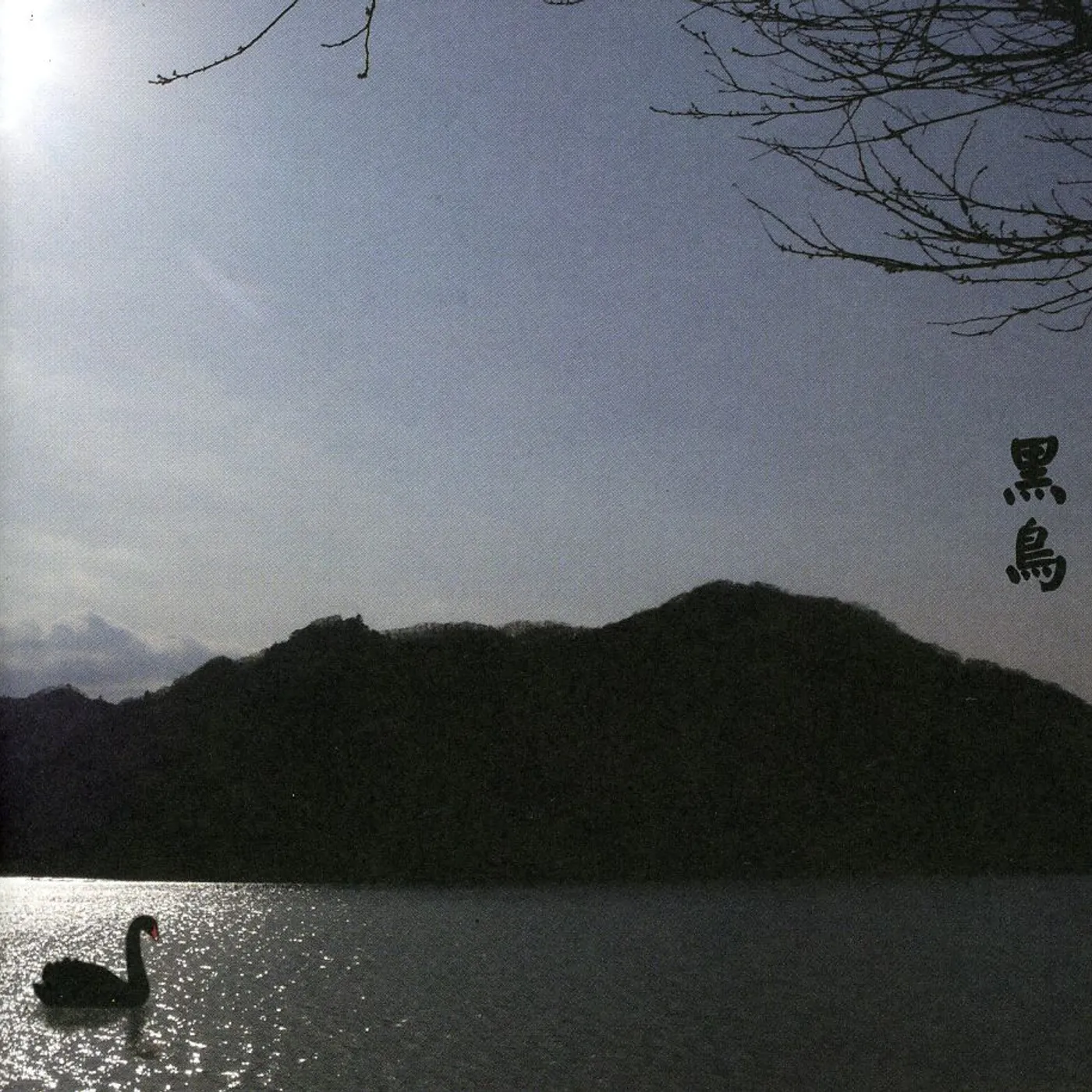 Merzbow 13 JAPANESE BIRDS 8 CD