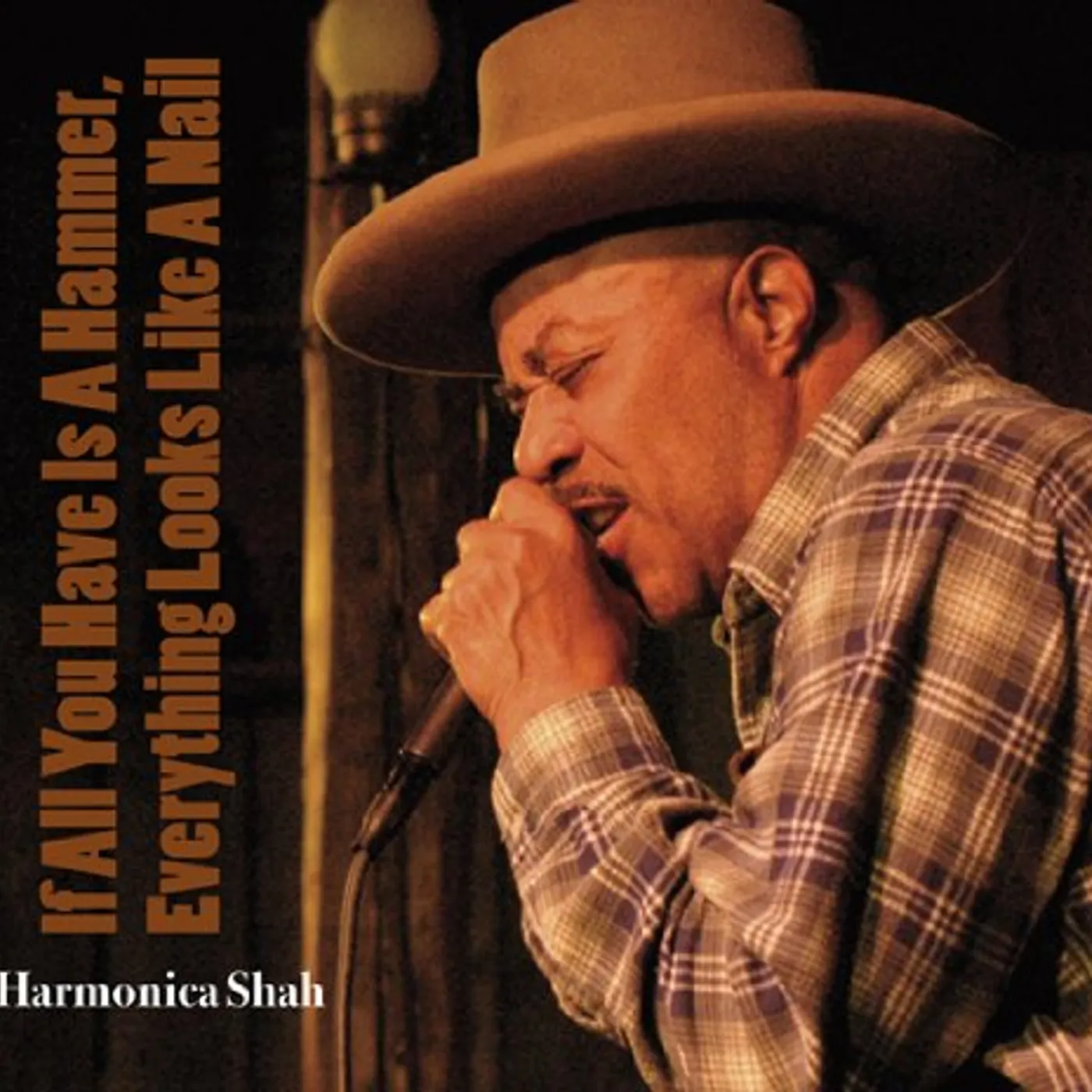 Harmonica Shah IF ALL YOU HAVE IS A HAMMER CD