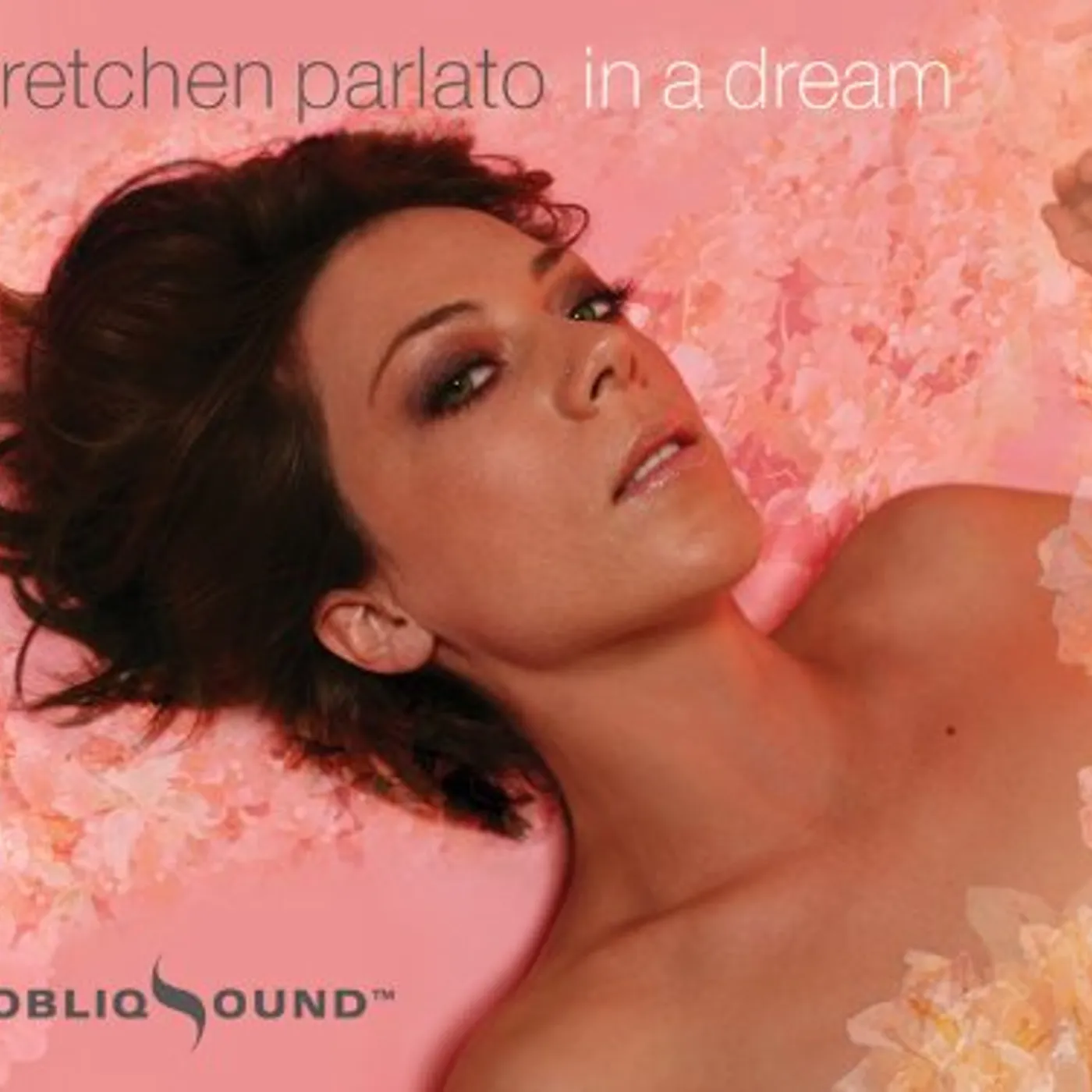 Gretchen Parlato IN A DREAM CD