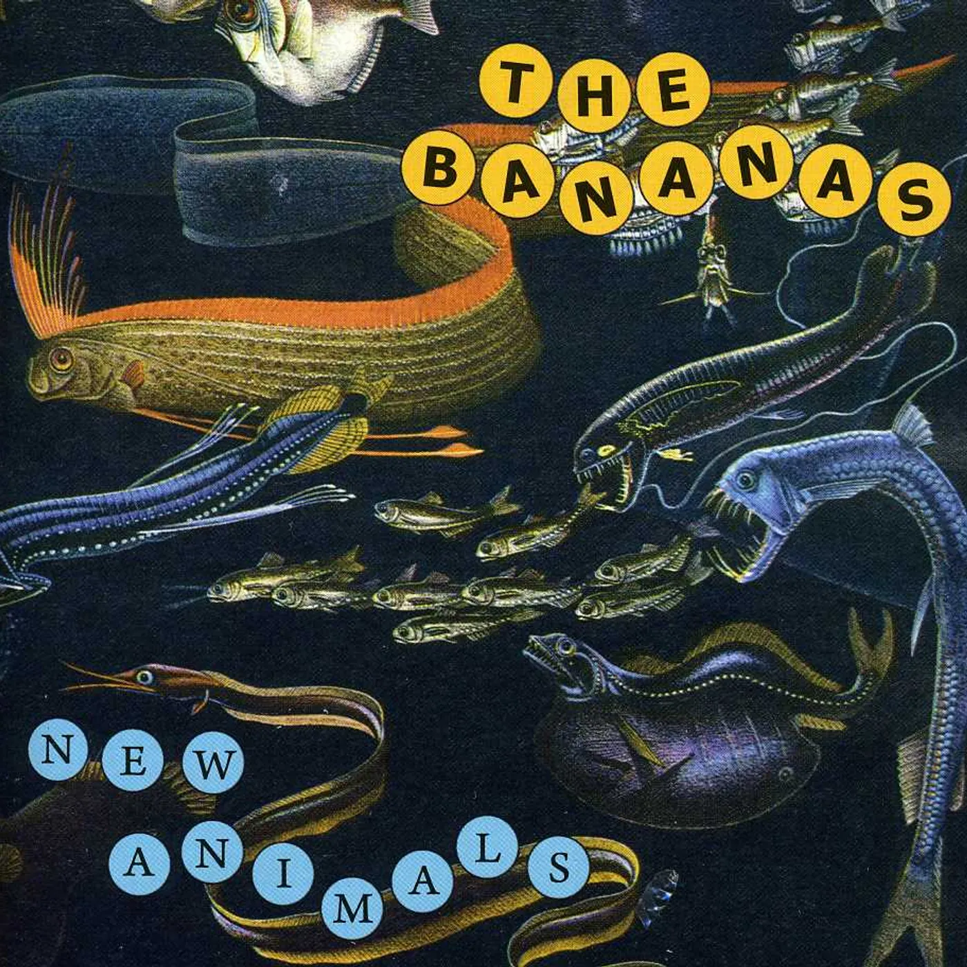 BANANAS NEW ANIMALS CD