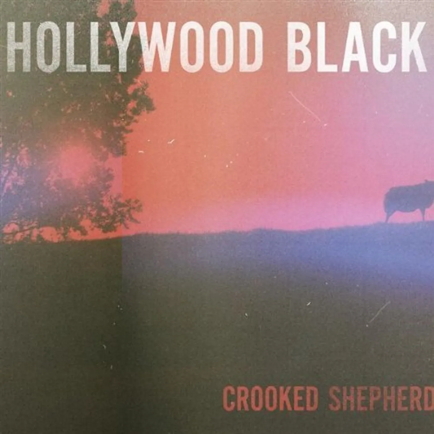 Black Hollywood CROOKED SHEPHERD CD
