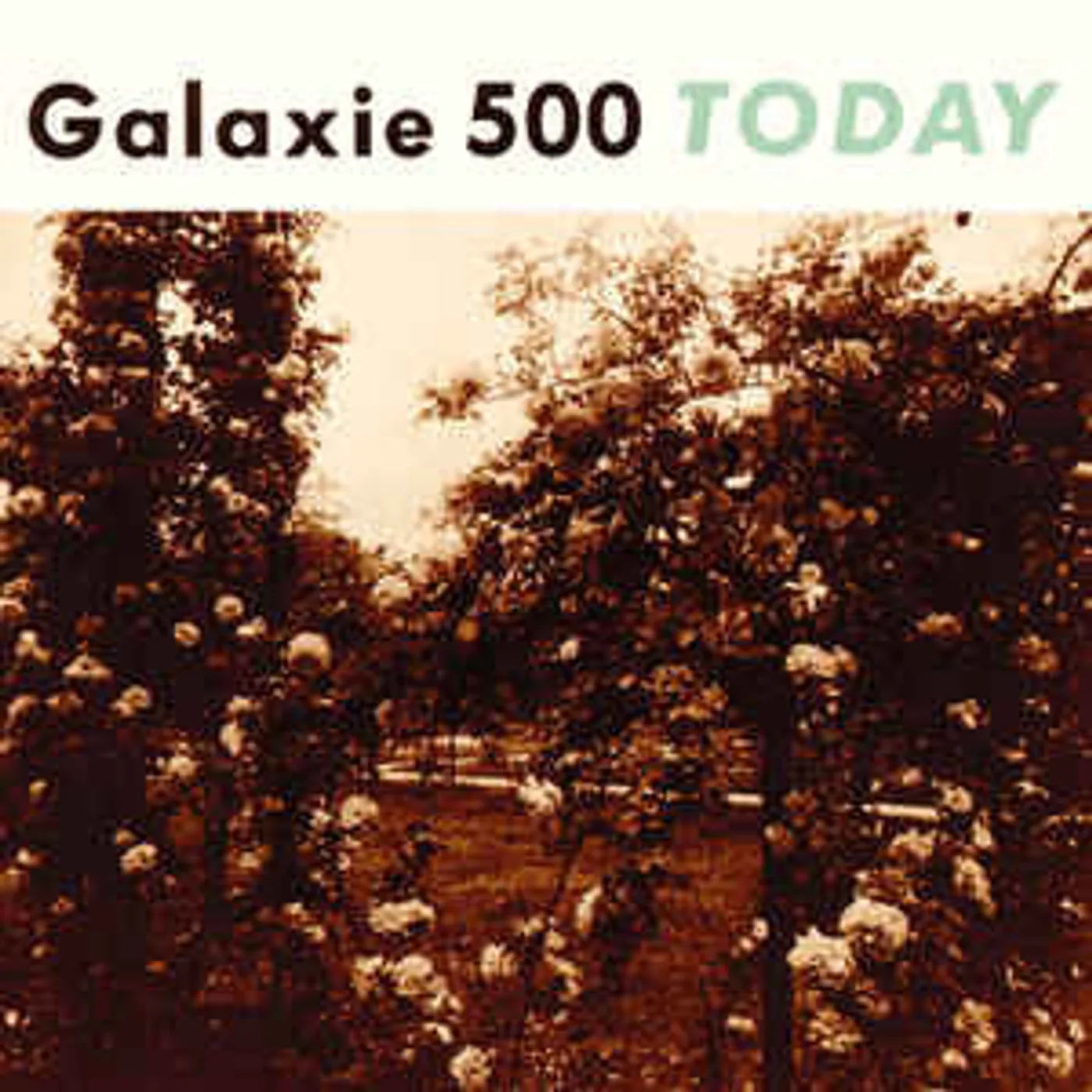 Galaxie 500 Today Vinyl Record