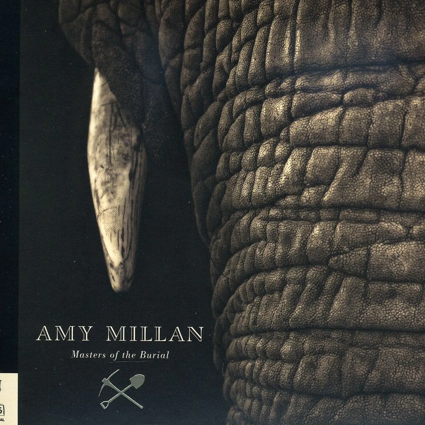 Amy Millan MASTERS OF THE BURIAL CD