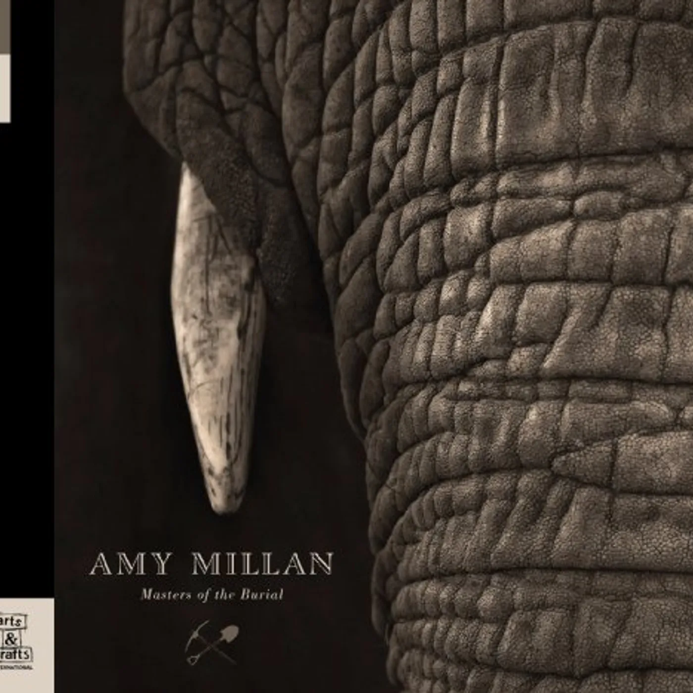 Amy Millan Masters Of The Burial Vinyl Record