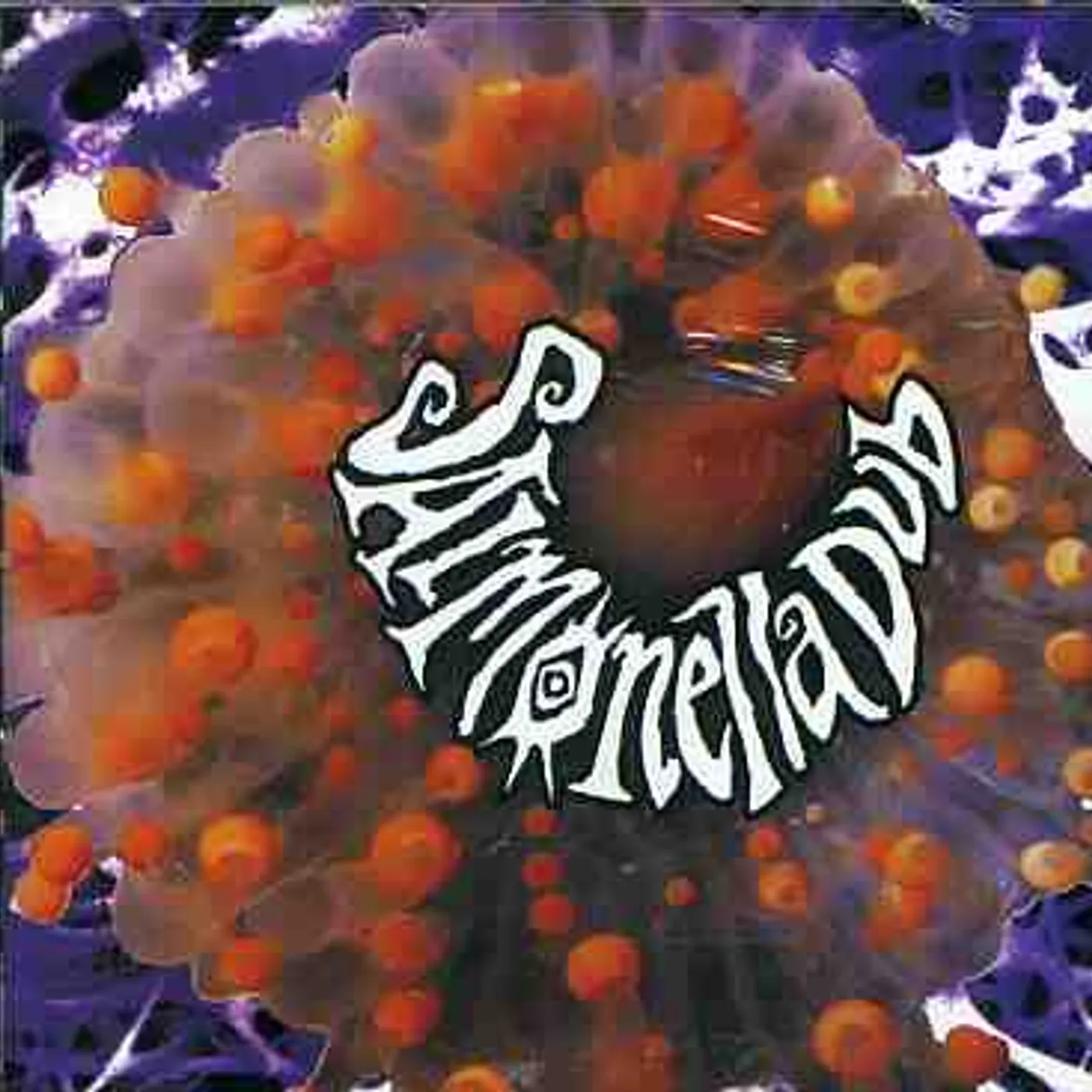 SALMONELLA DUB CD