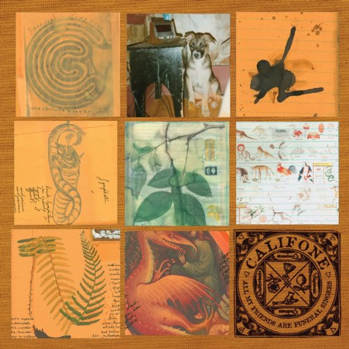 Califone All My Friends Are Funeral Singers Vinyl Record