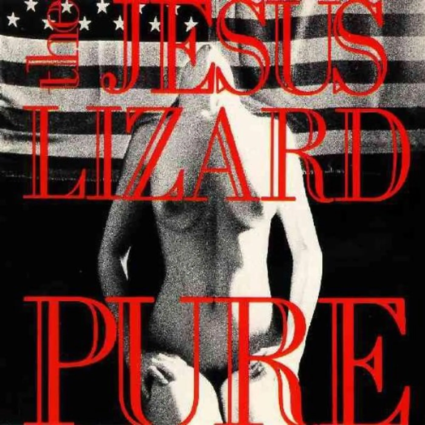The Jesus Lizard Pure Vinyl Record