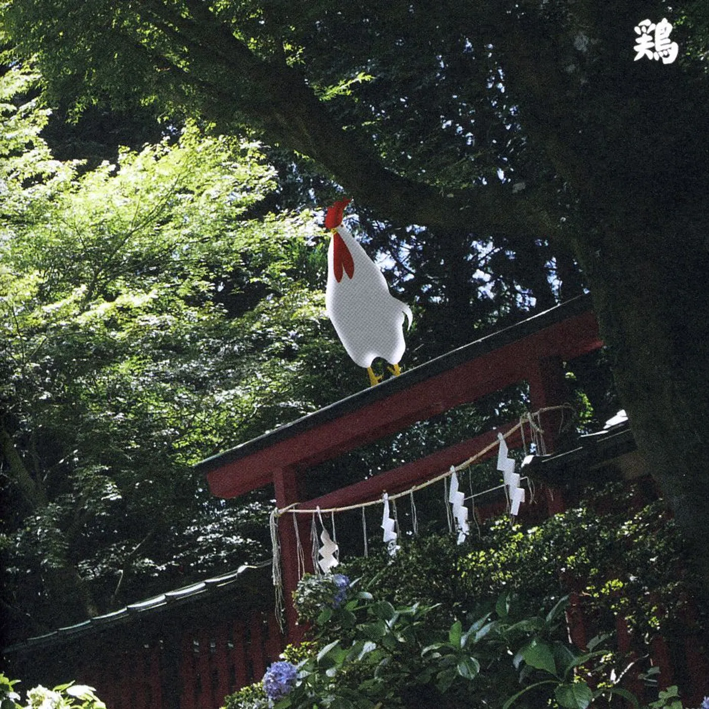 Merzbow 13 JAPANESE BIRDS 10 CD