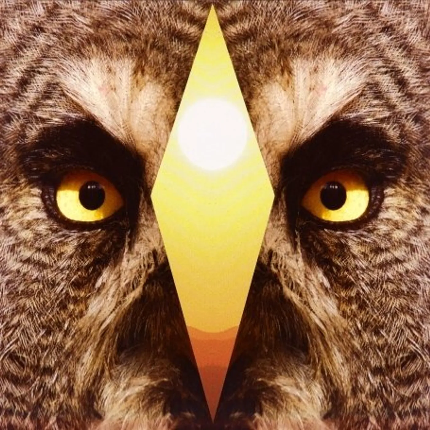 APSE 3.1 / WHIP Vinyl Record