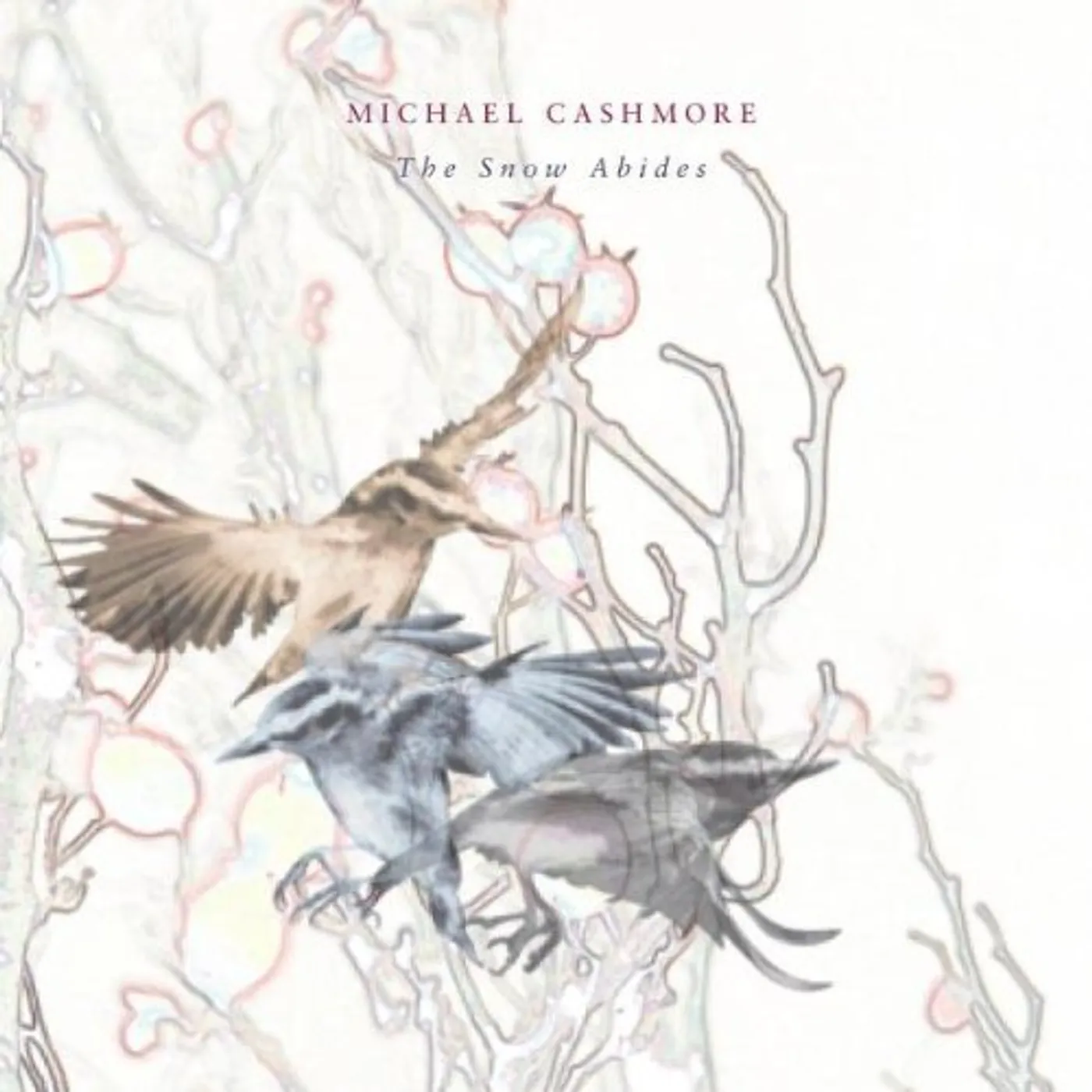 Michael Cashmore SNOW ABIDES Vinyl Record