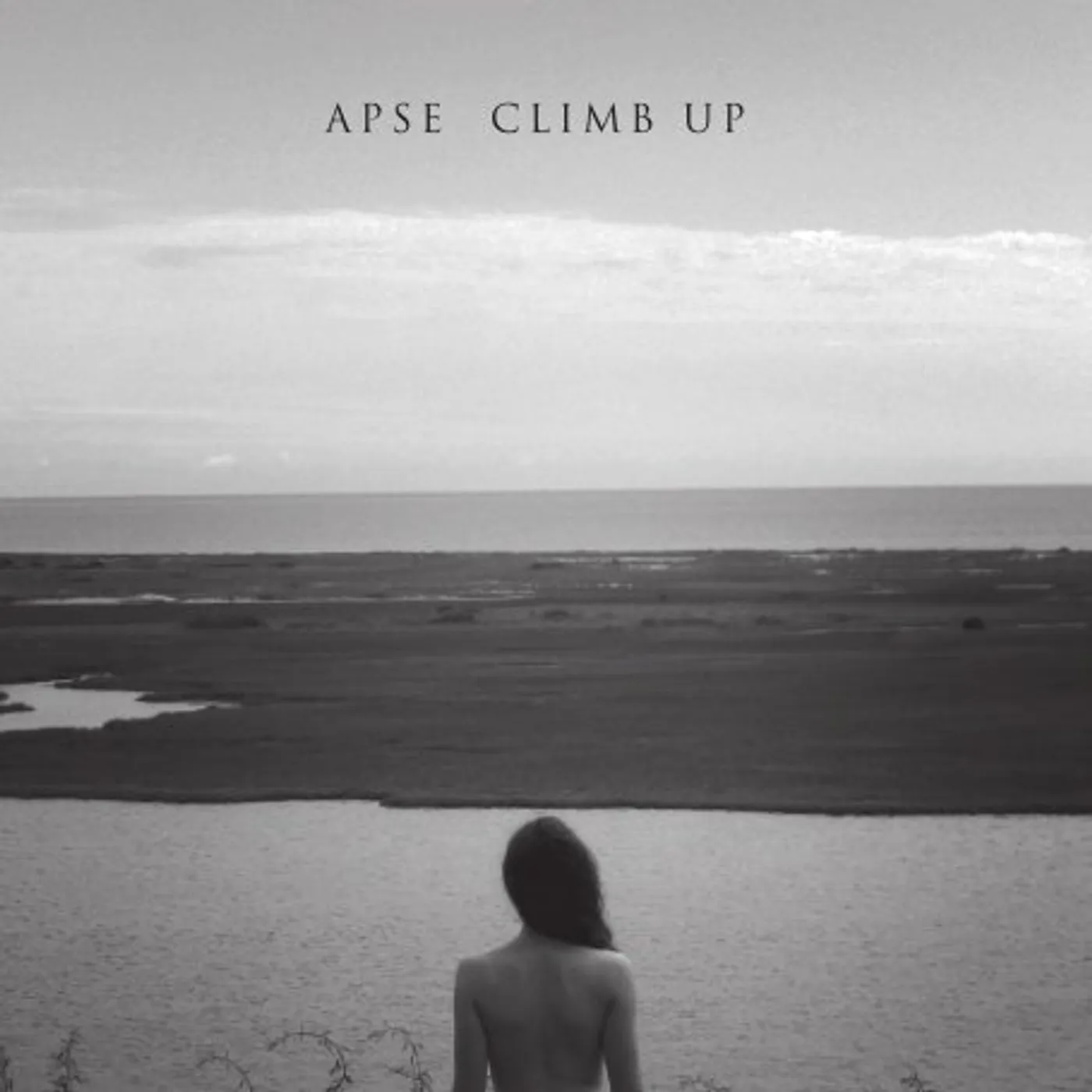 APSE Climb Up Vinyl Record