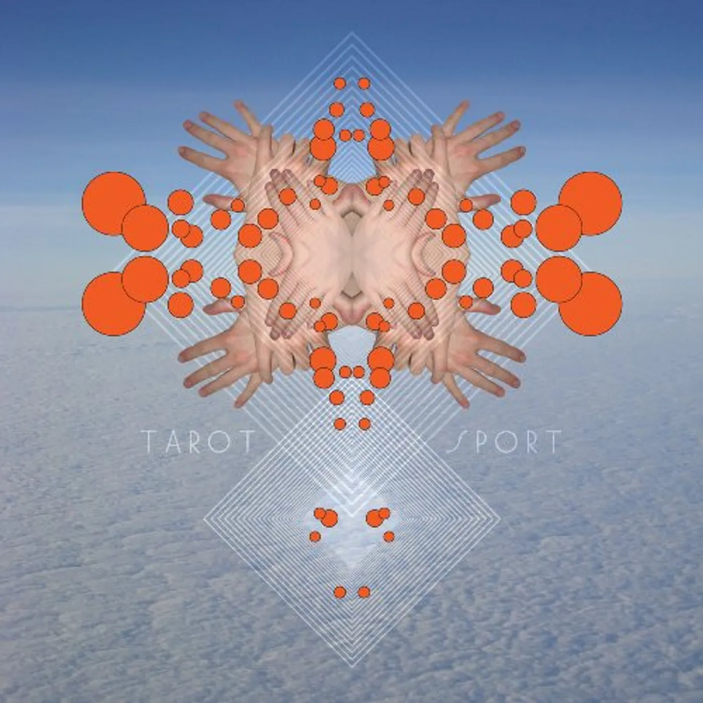 Fuck Buttons Tarot Sport Vinyl Record