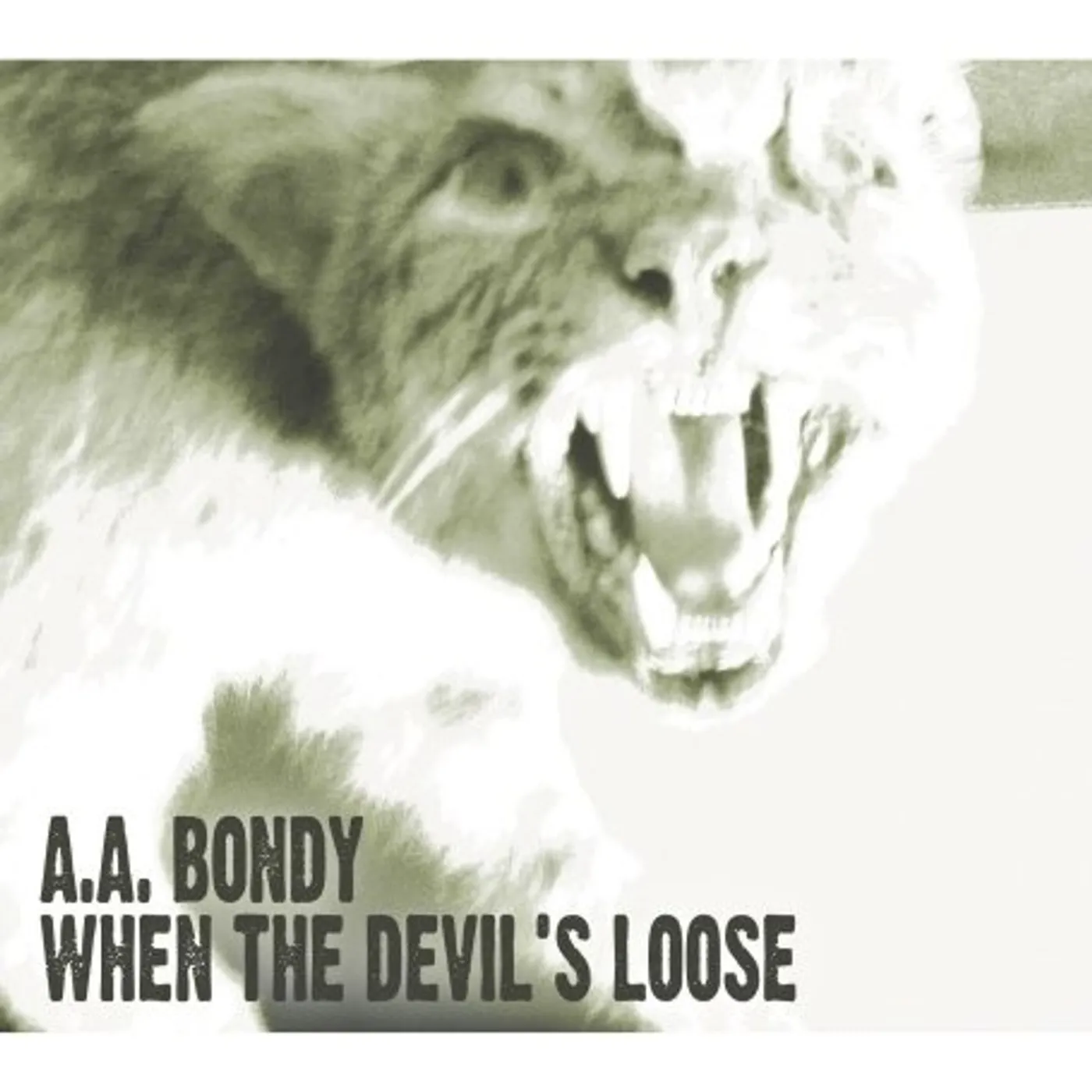 A.A. Bondy WHEN THE DEVIL'S LOOSE CD