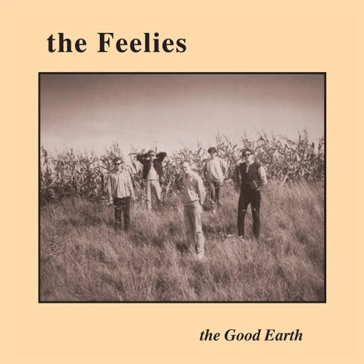 The Feelies GOOD EARTH CD