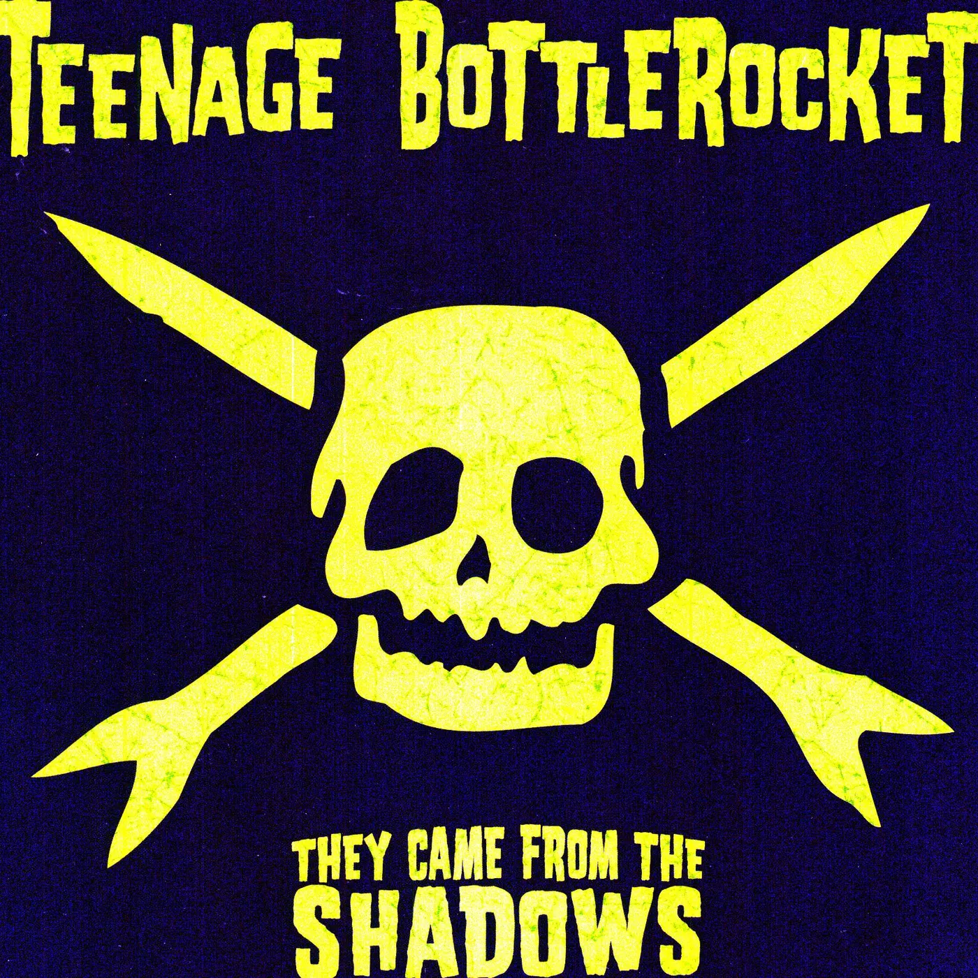 Teenage Bottlerocket They Came from the Shadows Vinyl Record