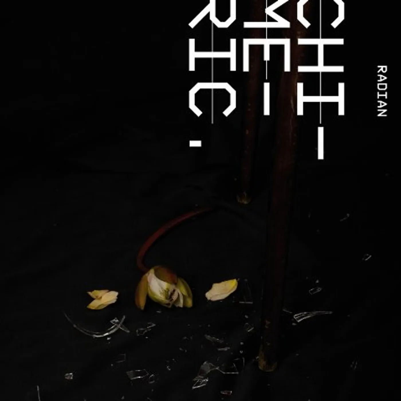 Radian Chimeric Vinyl Record