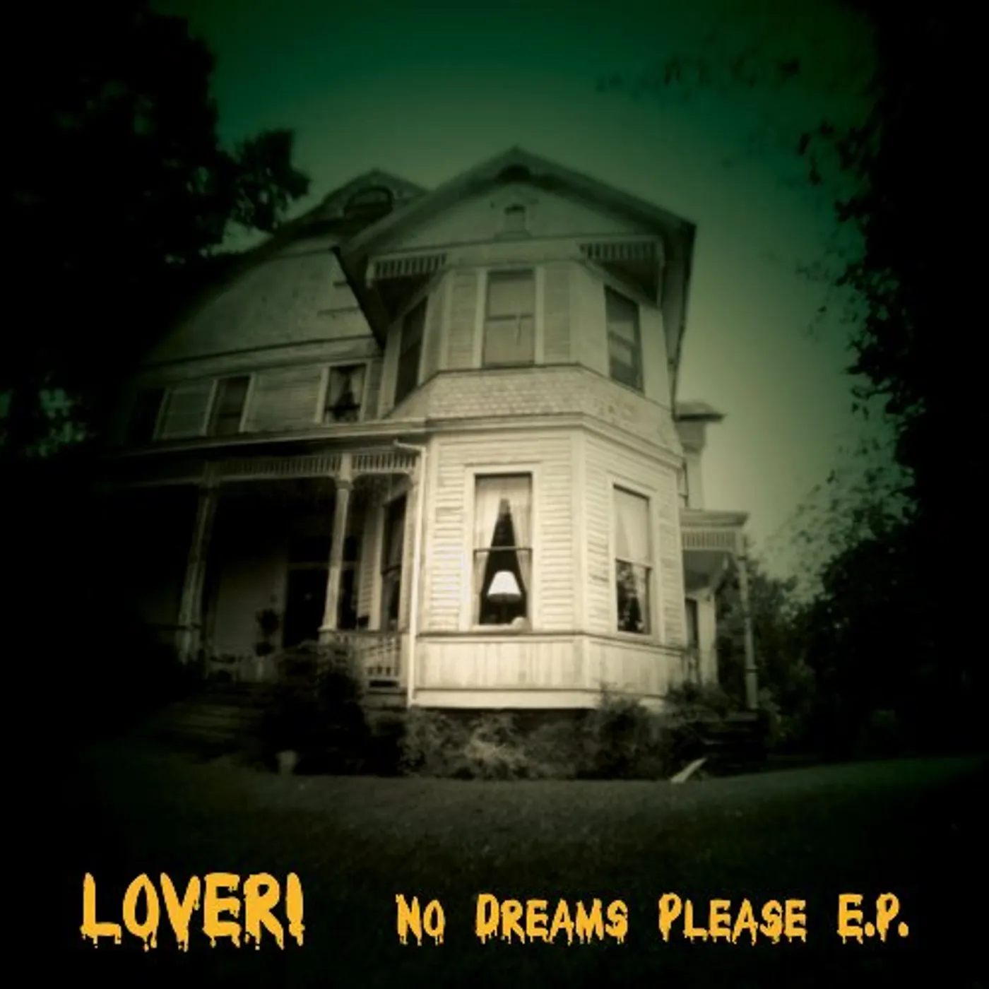 Lover No Dreams Please Vinyl Record
