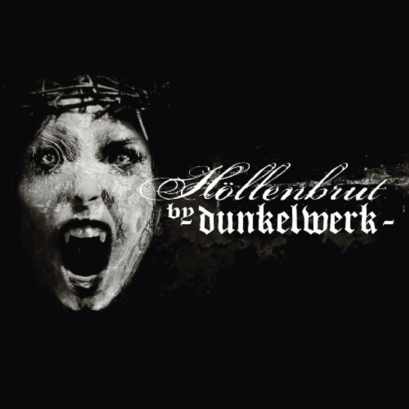 Dunkelwerk HOLLENBRUT CD