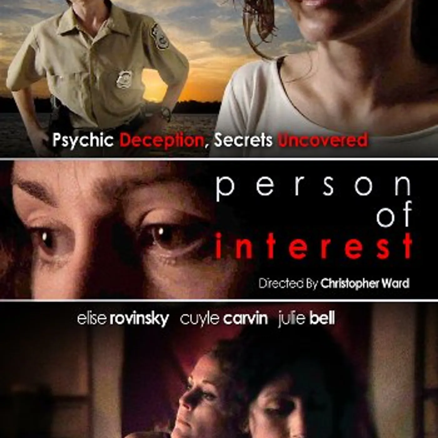 Person Of Interest DVD