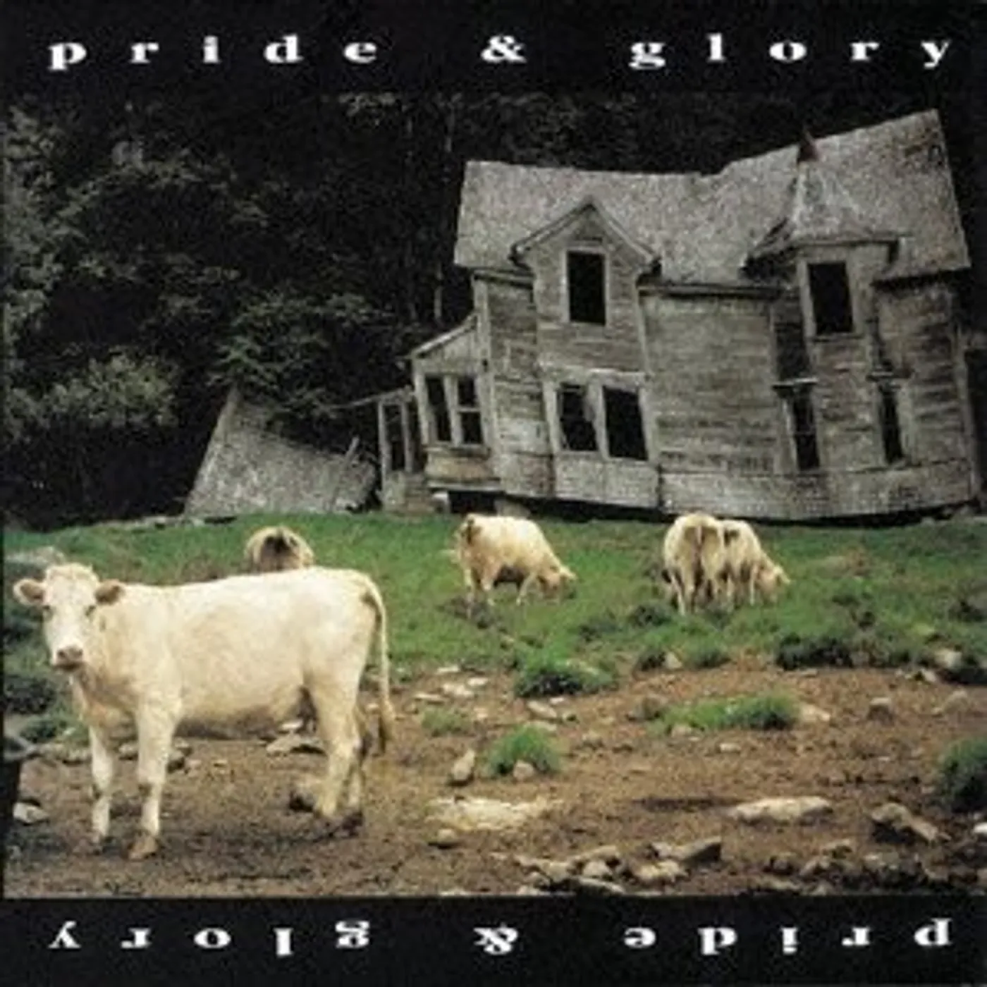 Zakk Wylde PRIDE & GLORY CD