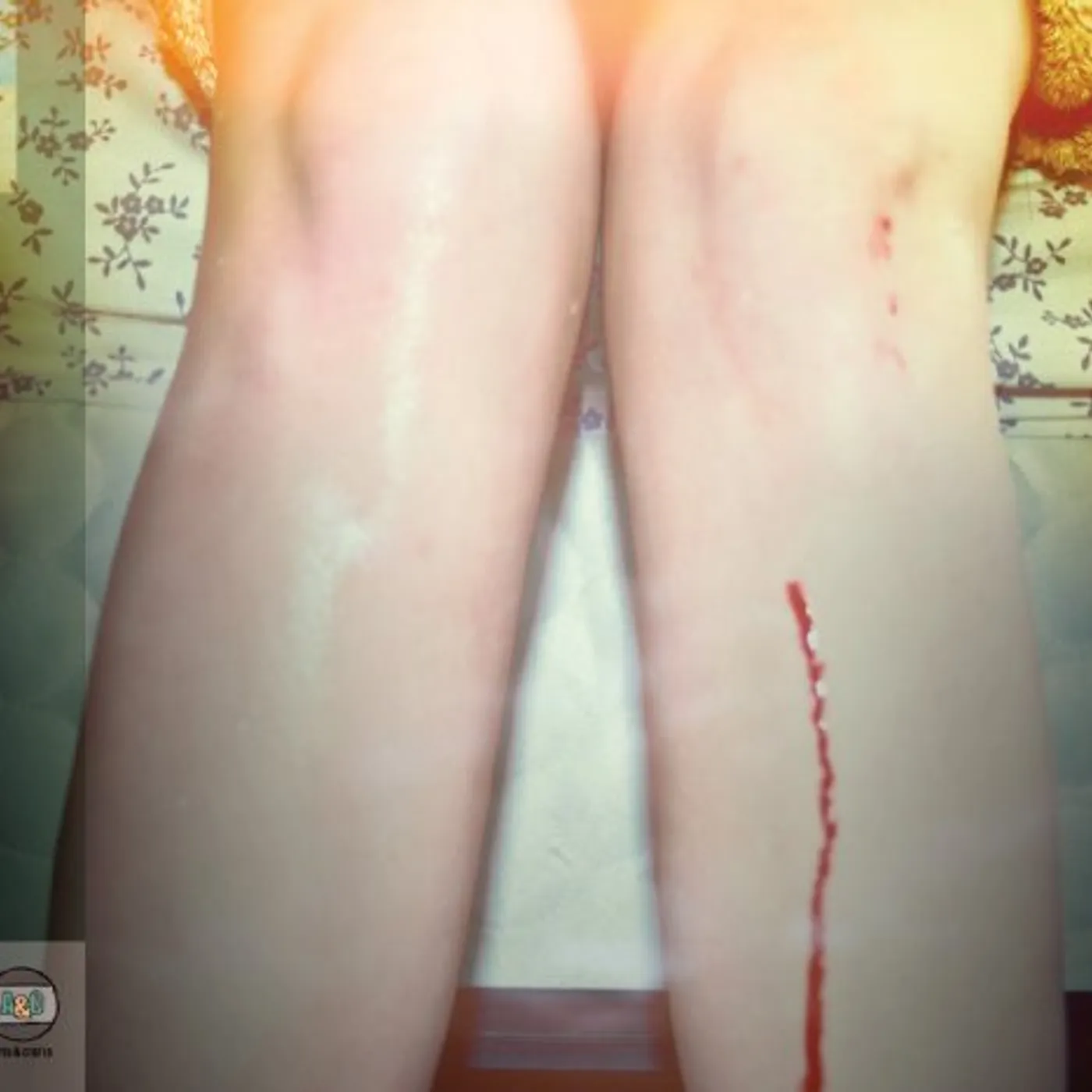 Los Campesinos! ROMANCE IS BORING CD