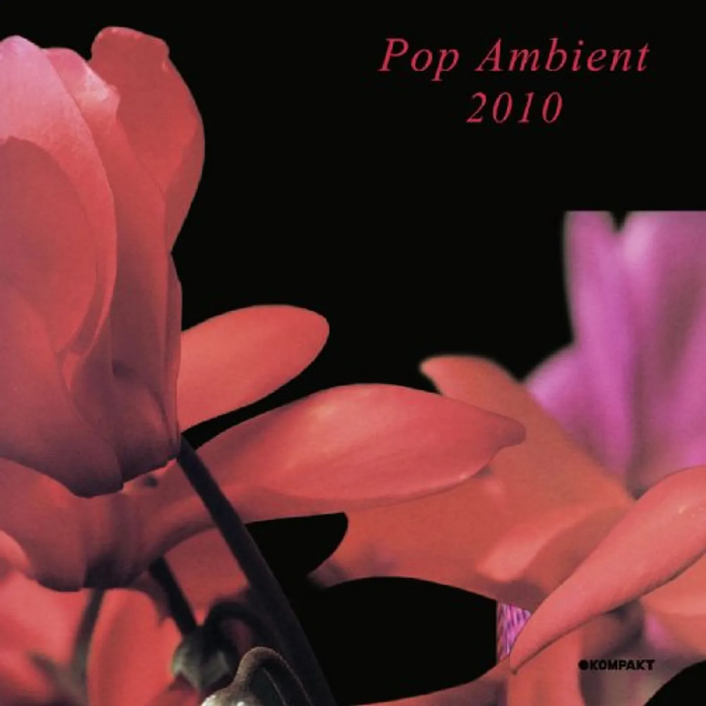 POP AMBIENT 2010 / VARIOUS Vinyl Record