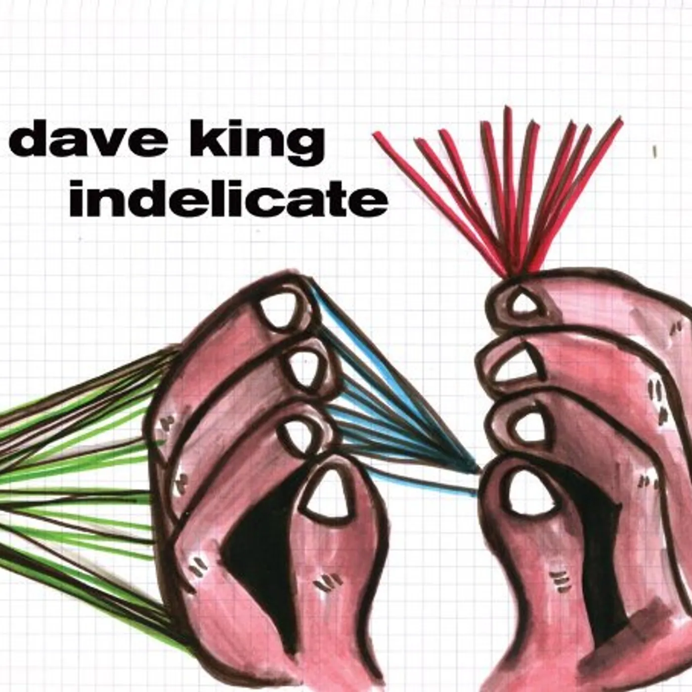 Dave King INDELICATE CD