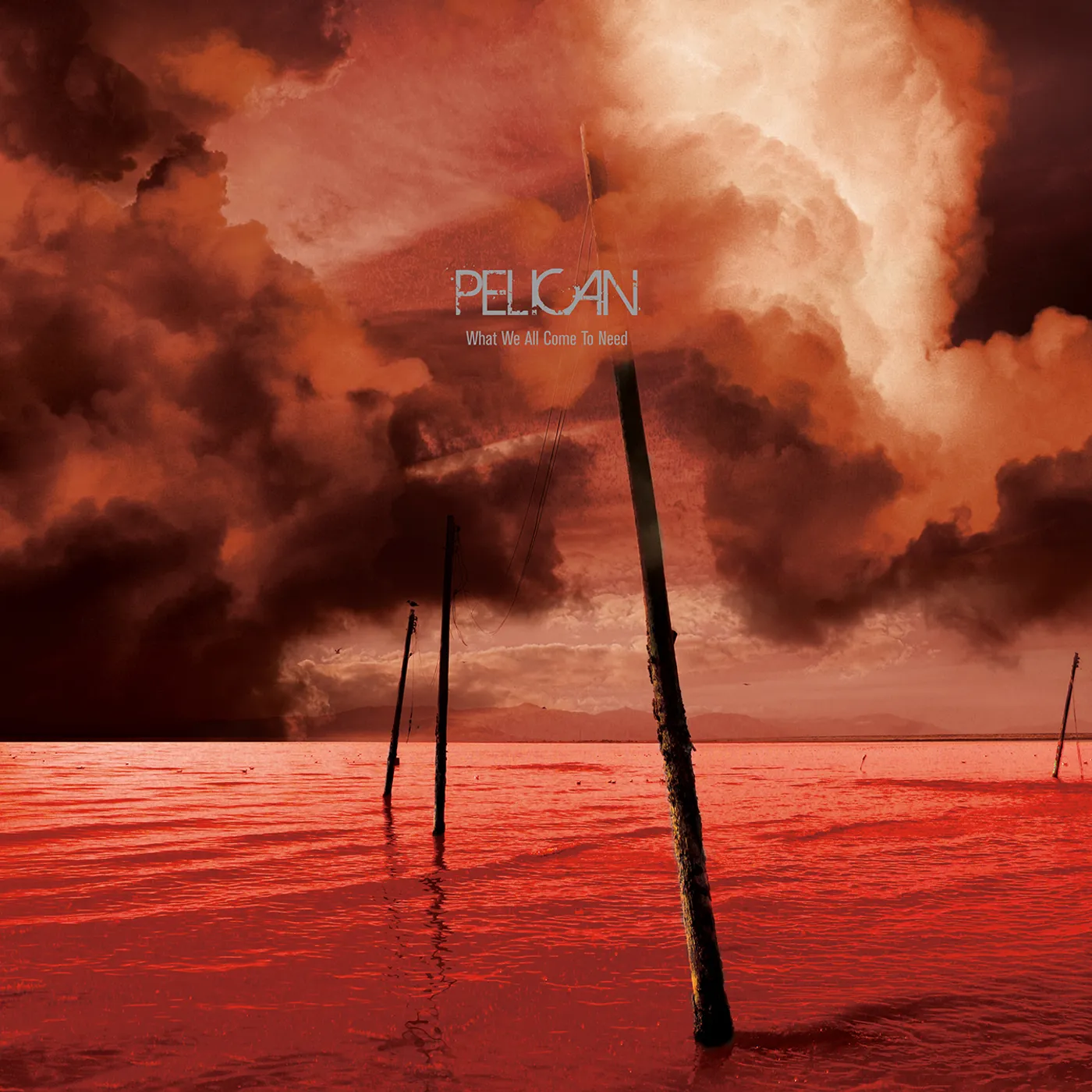 Pelican What We All Come to Need Vinyl Record