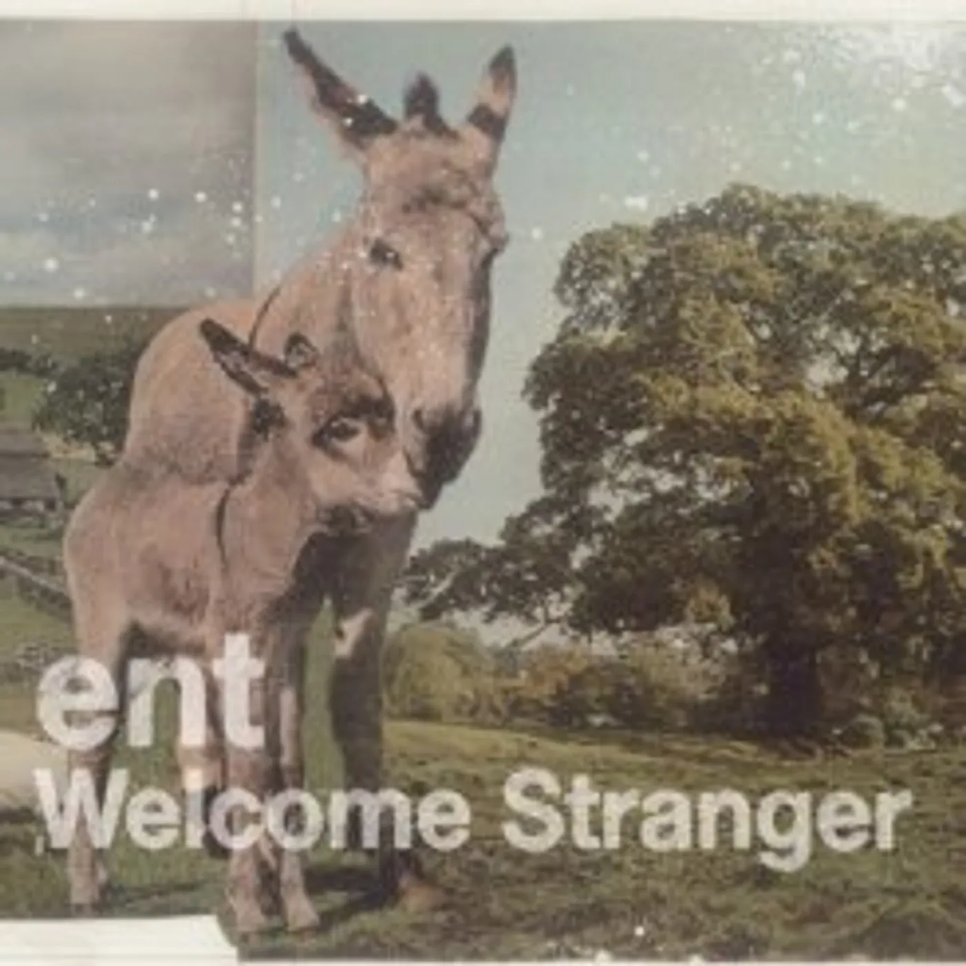 Ent WELCOME STRANGER CD