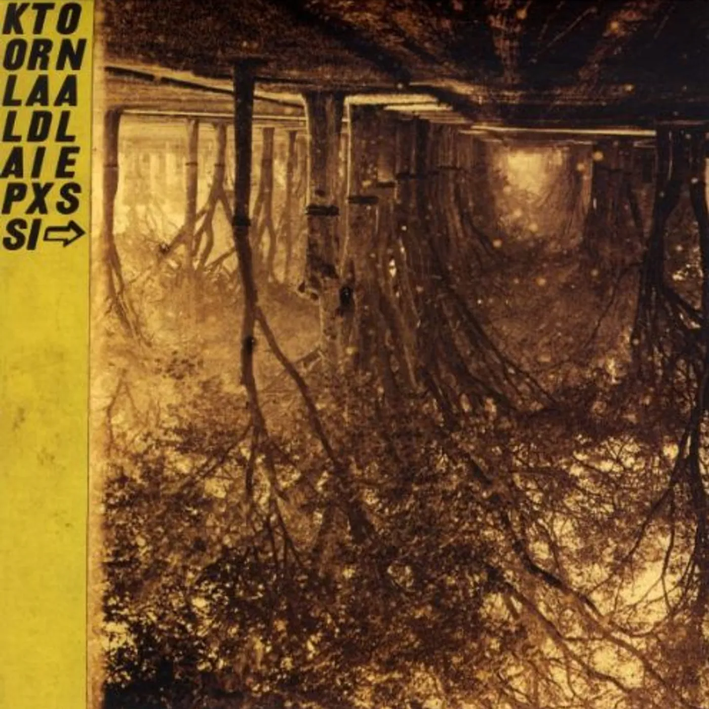 Silver Mt Zion Memorial Orchestra & Tra-La-La Band Kollaps Tradixionales Vinyl Record