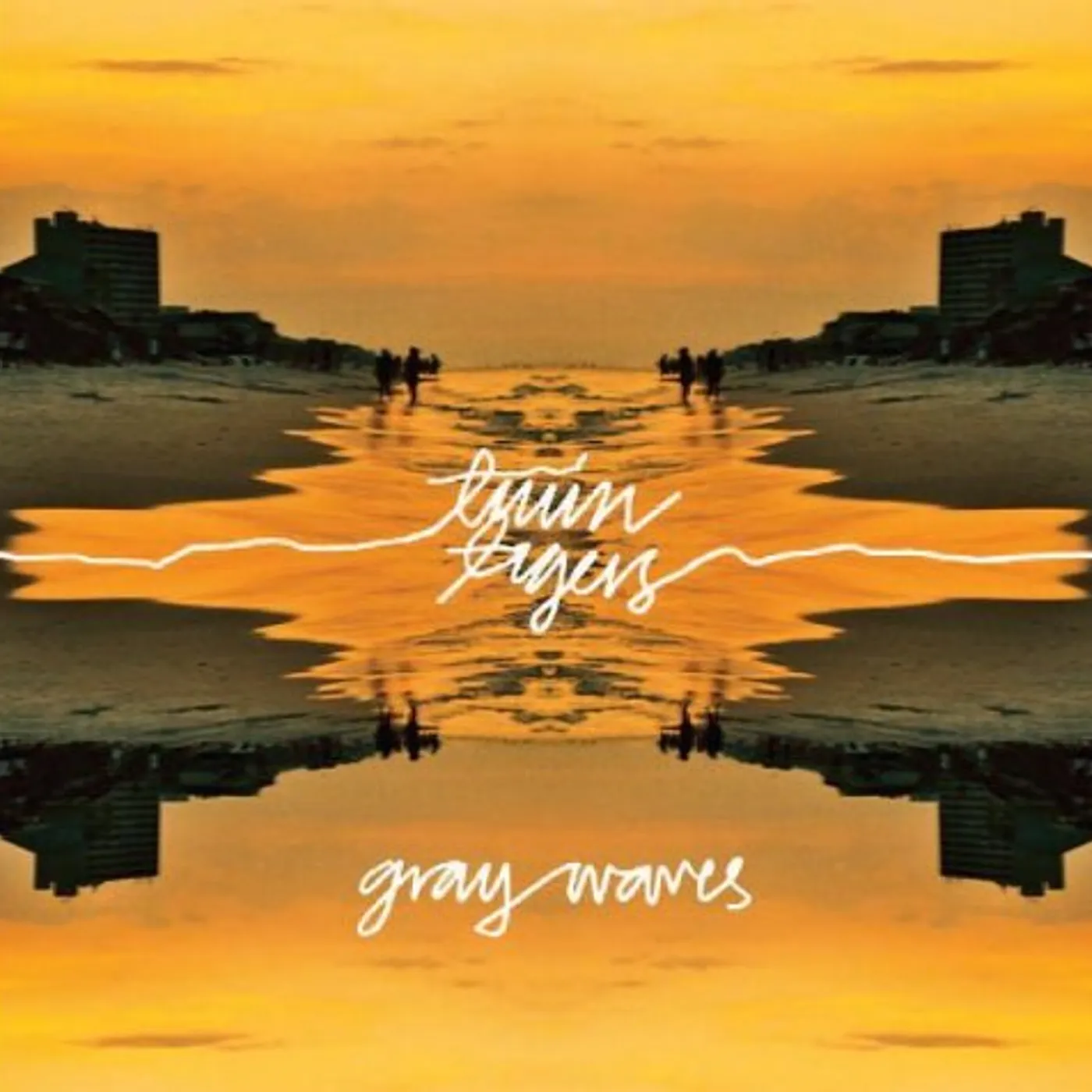 Twin Tigers GREY WAVES Vinyl Record