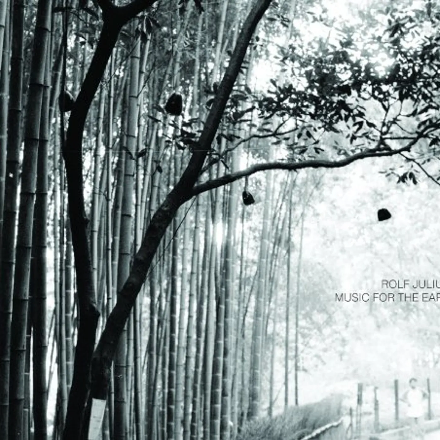 Rolf Julius MUSIC FOR EARS CD