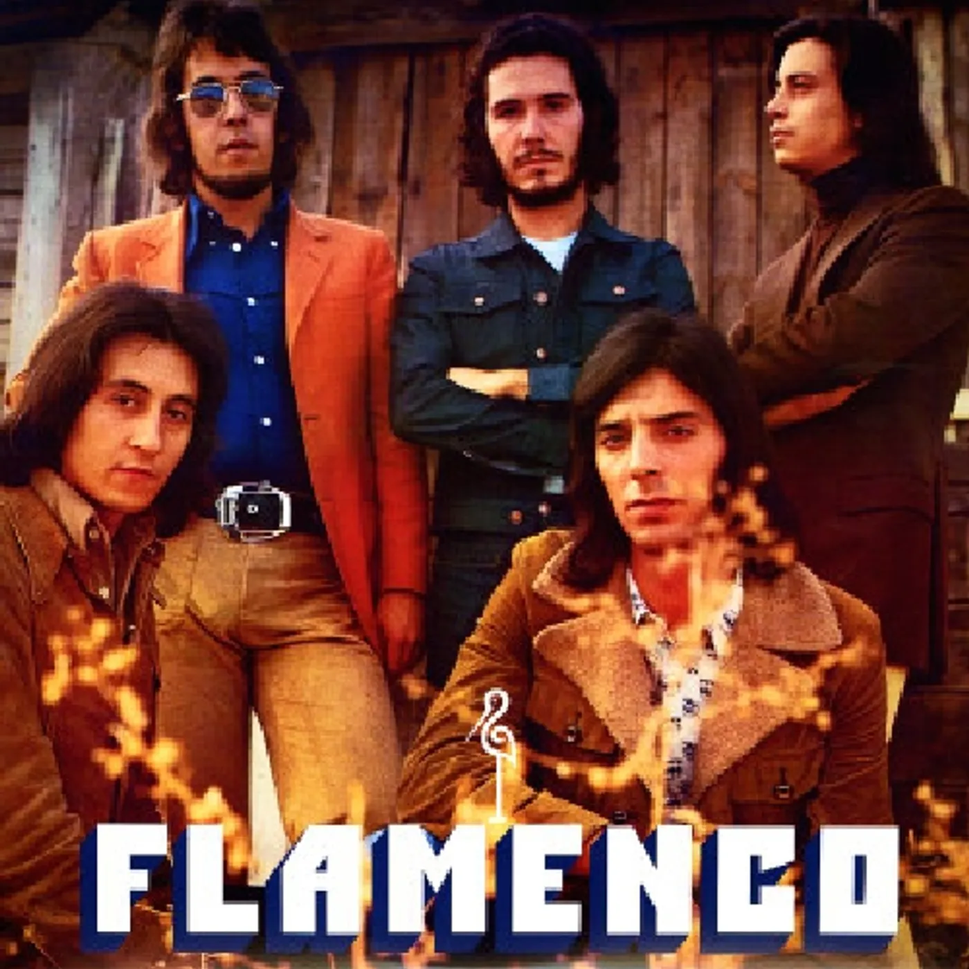 Flamenco Vinyl Record