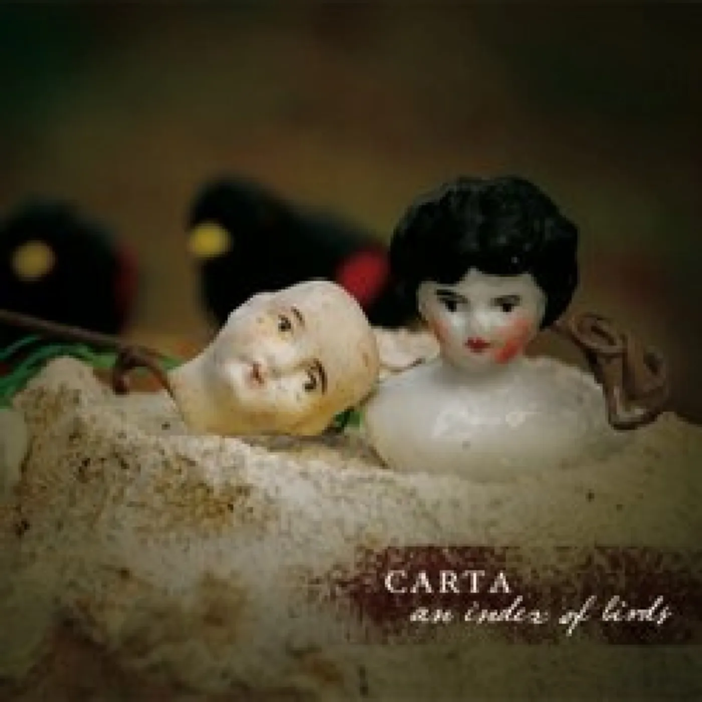 Carta INDEX OF BIRDS CD