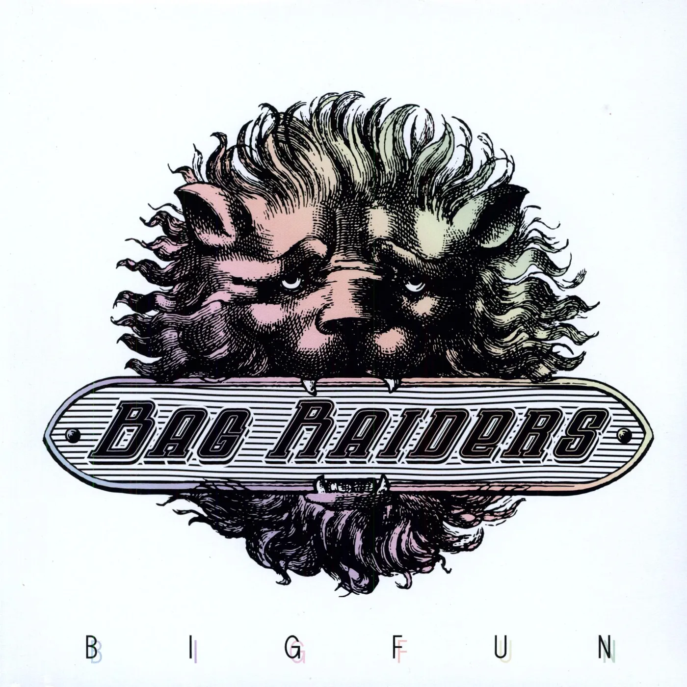 Bag Raiders Big Fun Vinyl Record