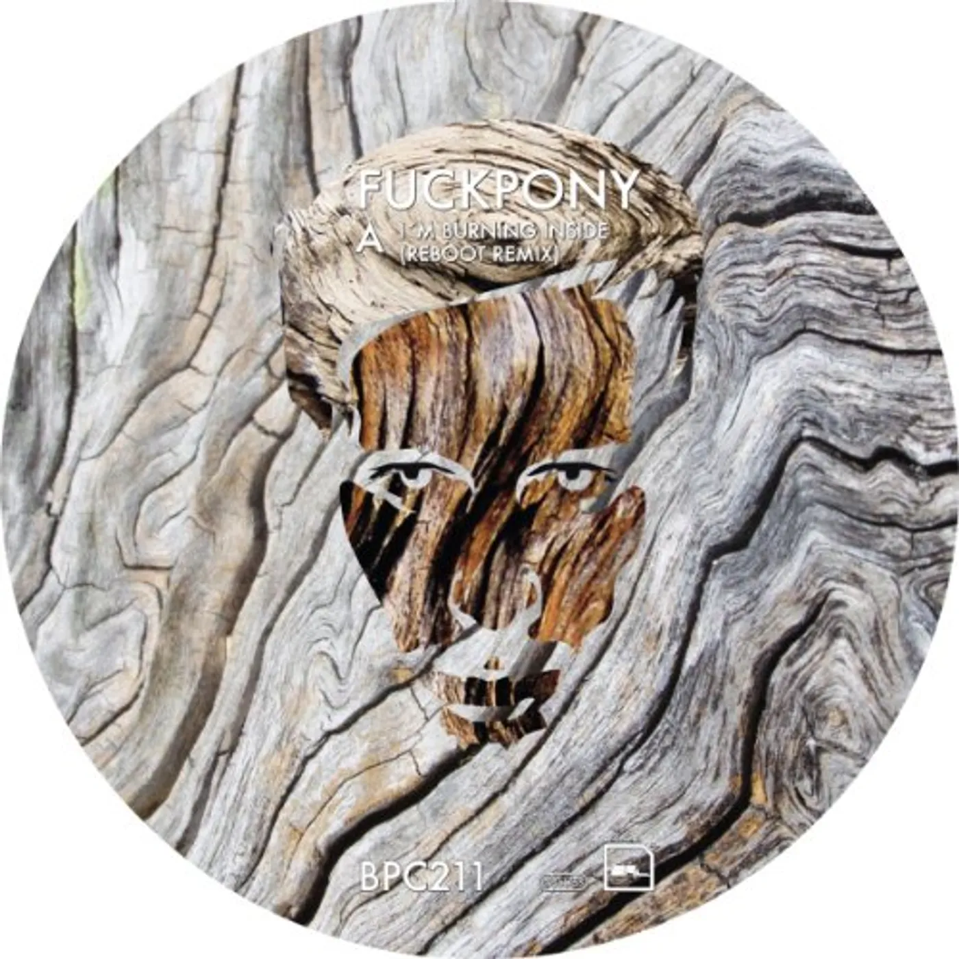 Fuckpony I'm Burning Inside Vinyl Record